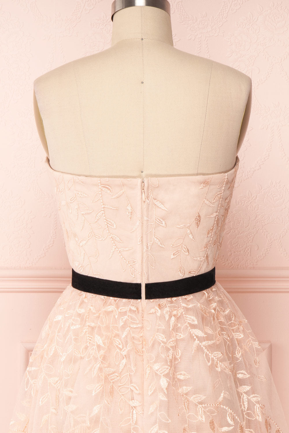 Fanely Blush | Pink Embroidered Dress