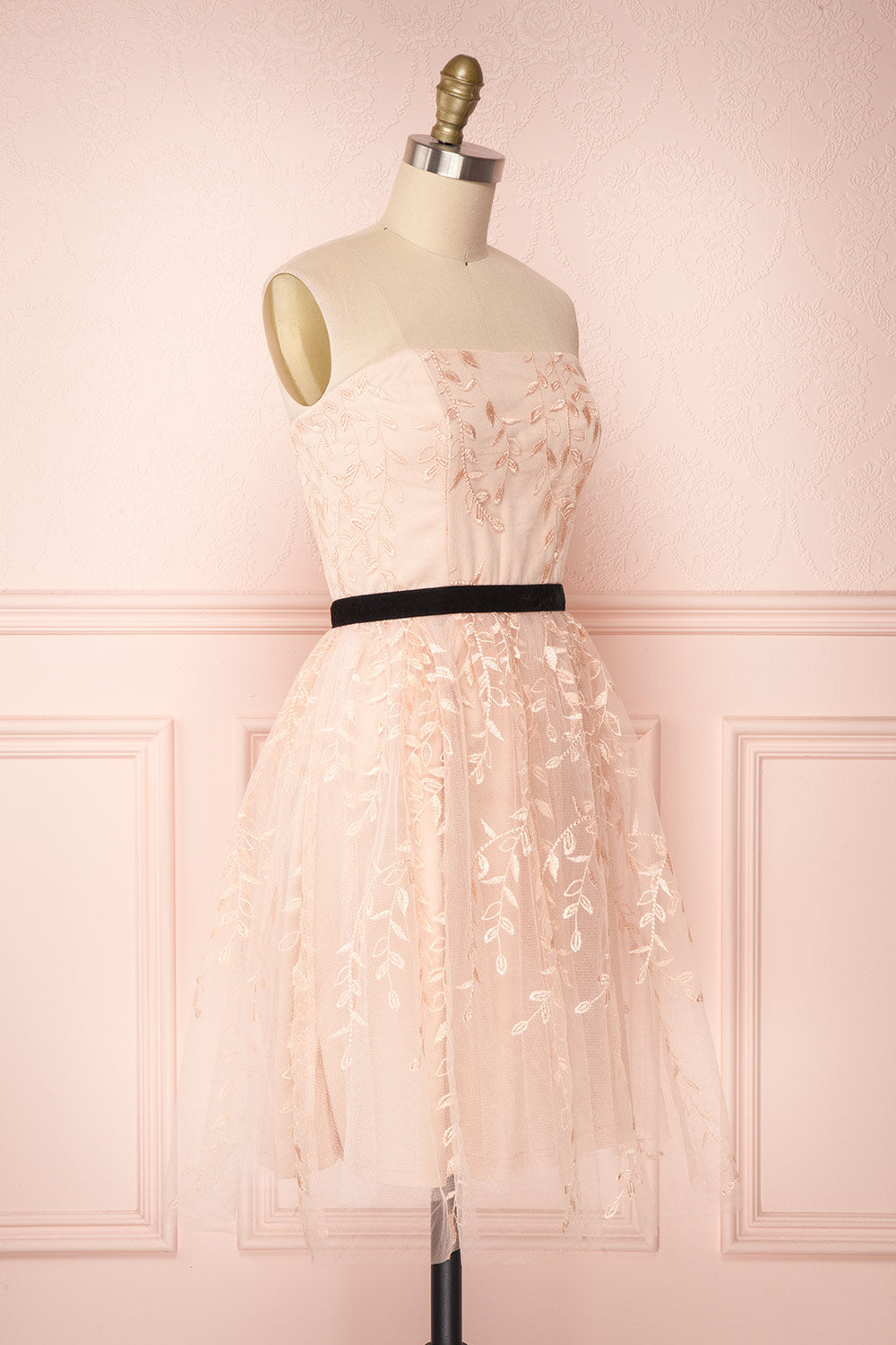 Fanely Blush | Pink Embroidered Dress