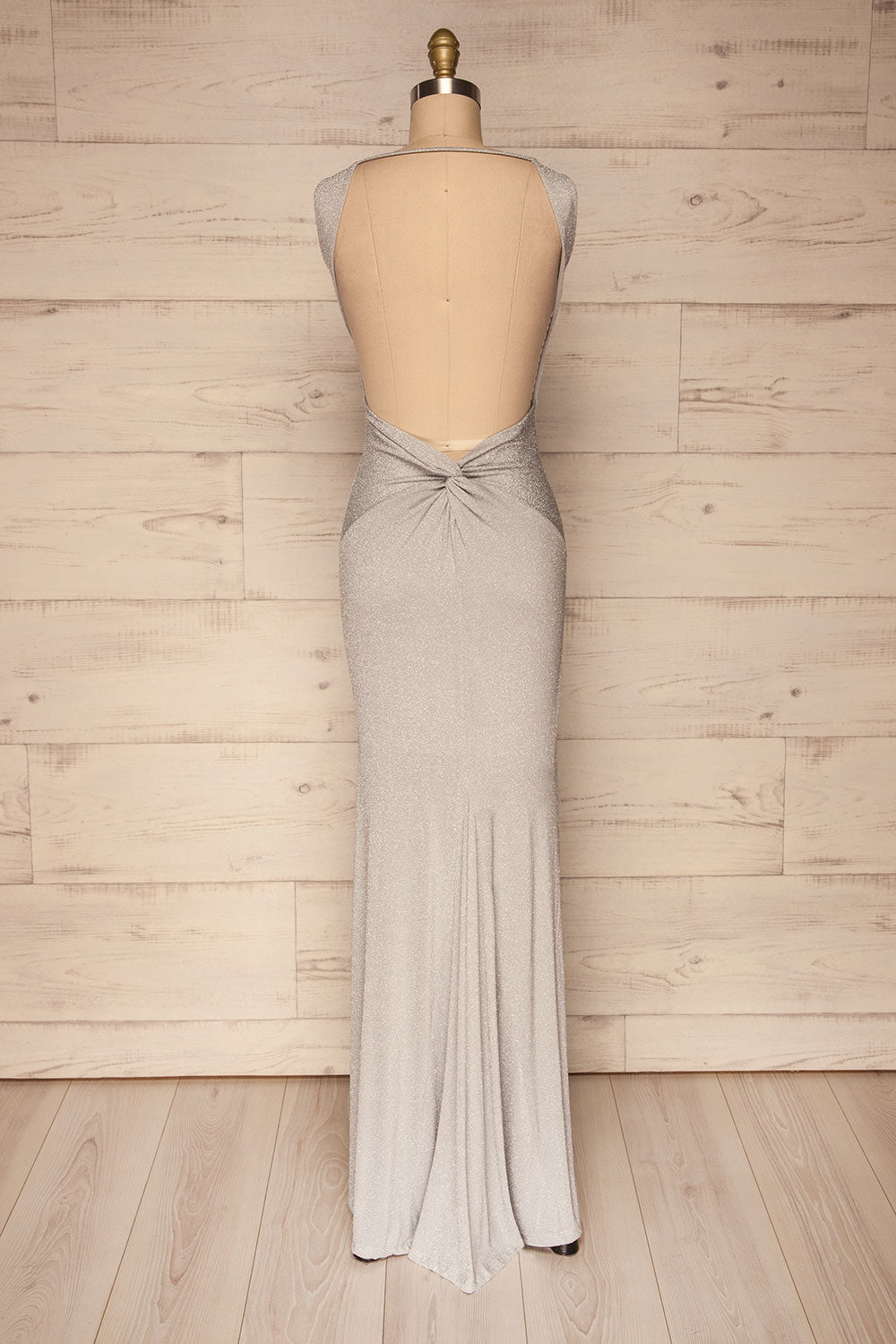 Farbrors Silver Maxi Dress | Robe | La Petite Garçonne back view