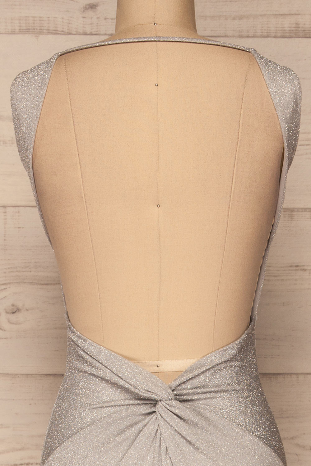 Farbrors Silver Maxi Dress | Robe | La Petite Garçonne back close-up
