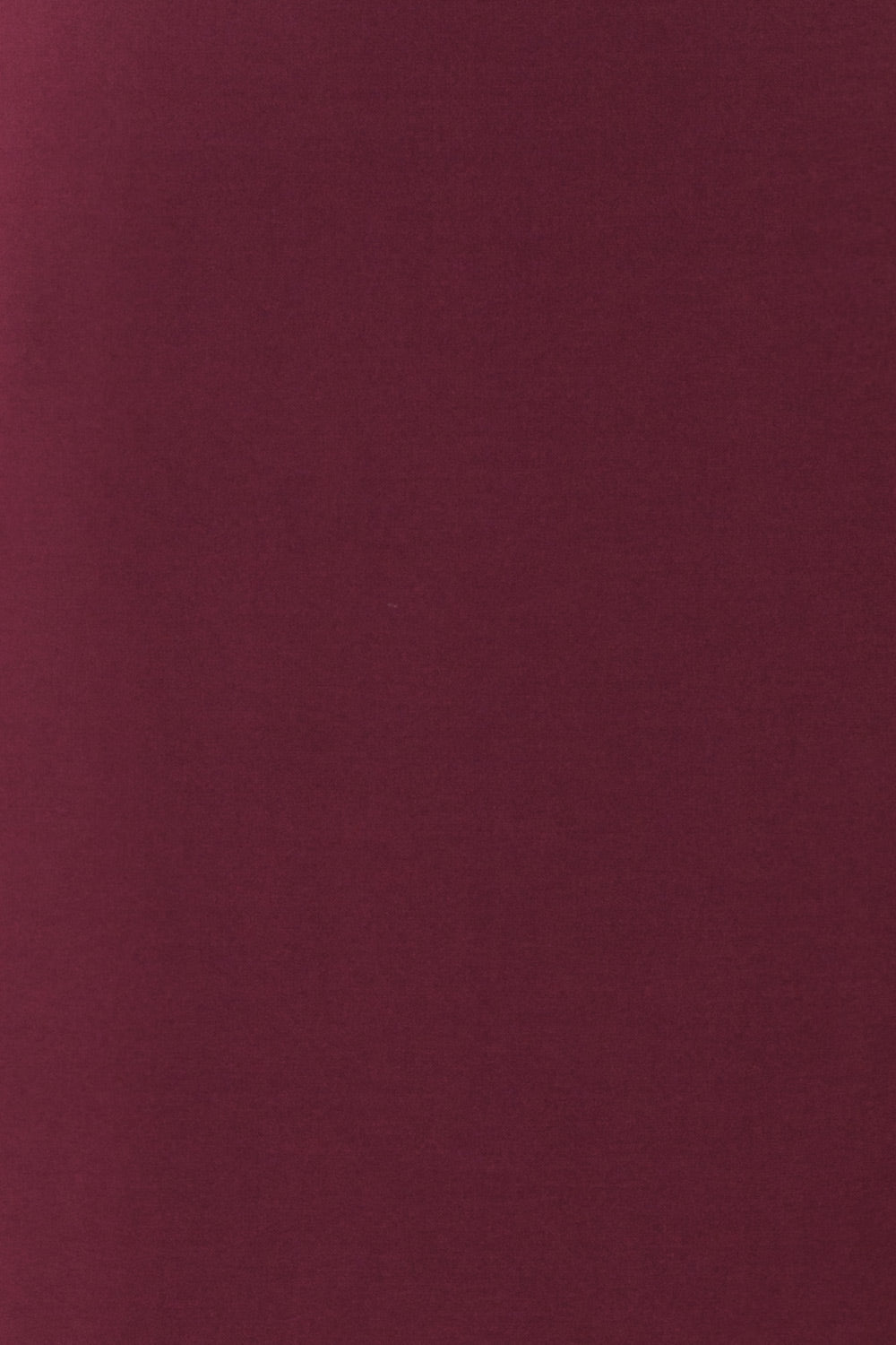 Filnio Burgundy Fitted Ted Baker Cocktail Dress | TEXTURE DETAIL | Boutique 1861