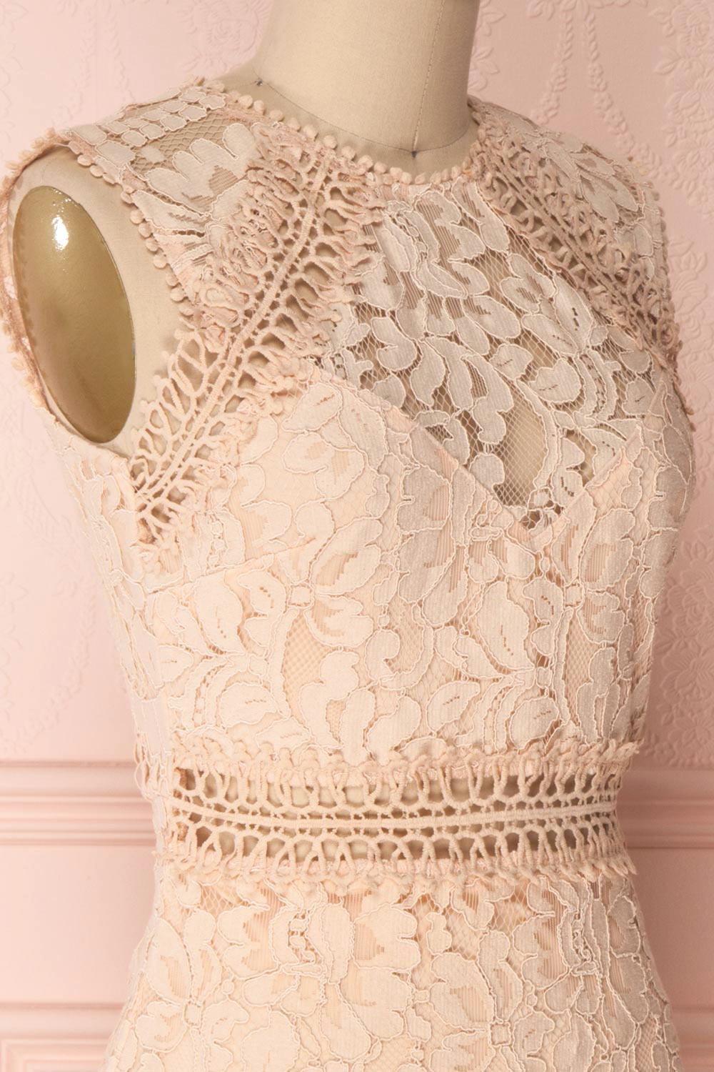 Gabryelli Blush Lace Fitted Cocktail Dress | Boutique 1861 side close up