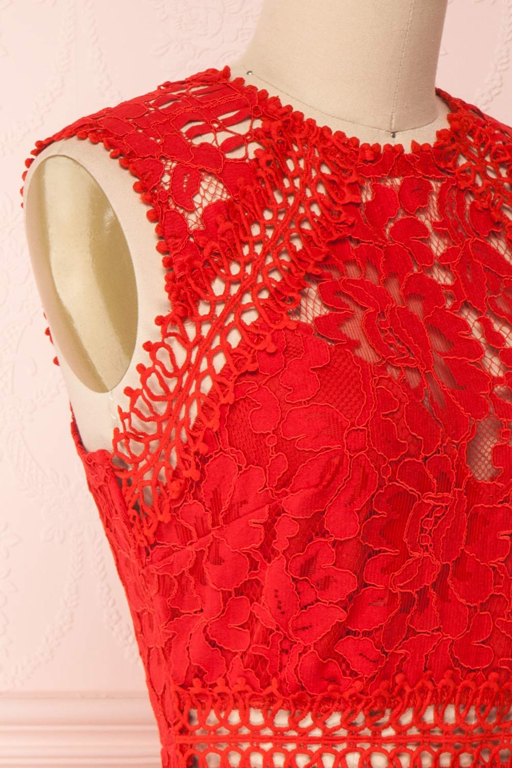 Gabryelli Rouge Red Lace Fitted Cocktail Dress | Boutique 1861
