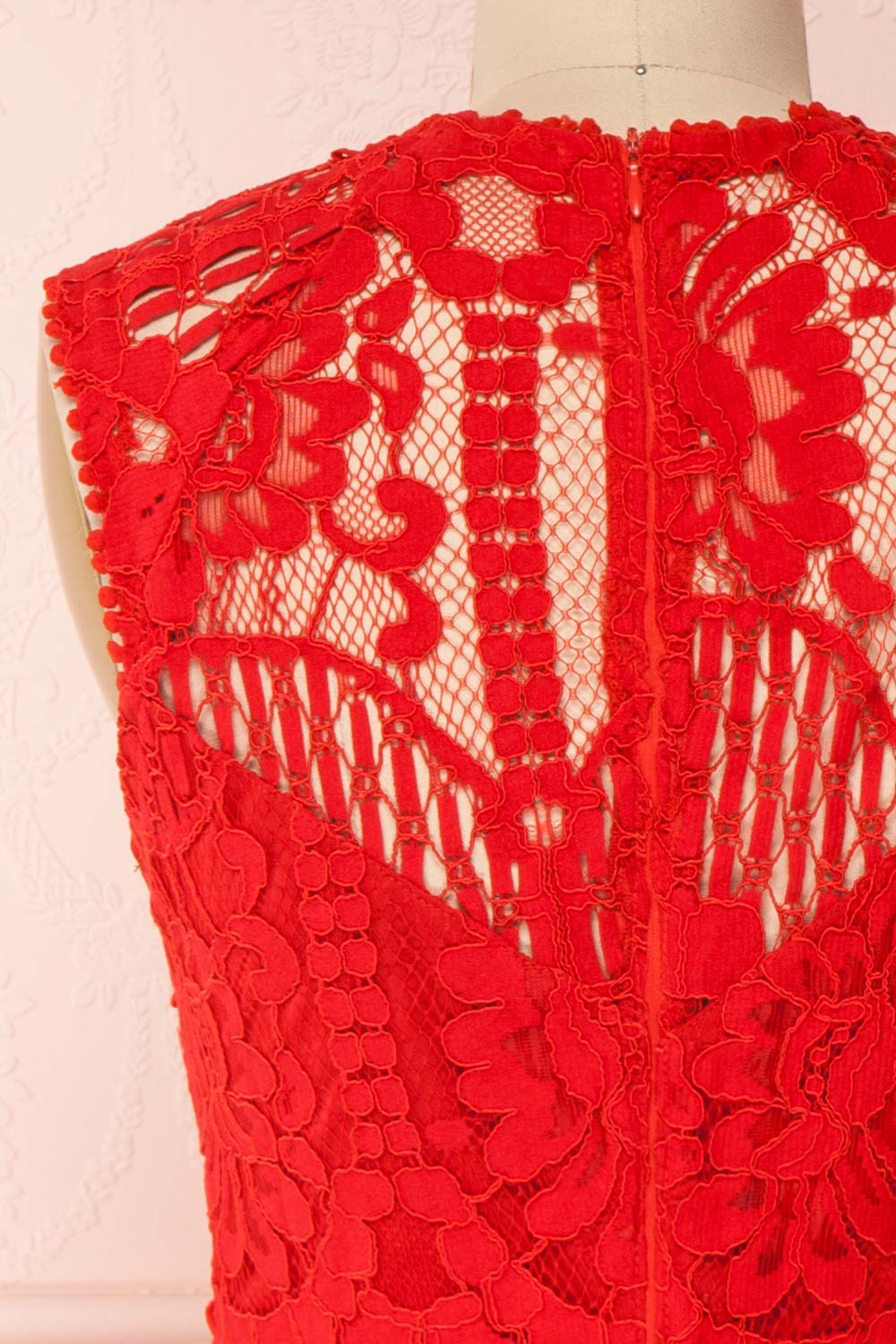 Gabryelli Rouge Red Lace Fitted Cocktail Dress | Boutique 1861