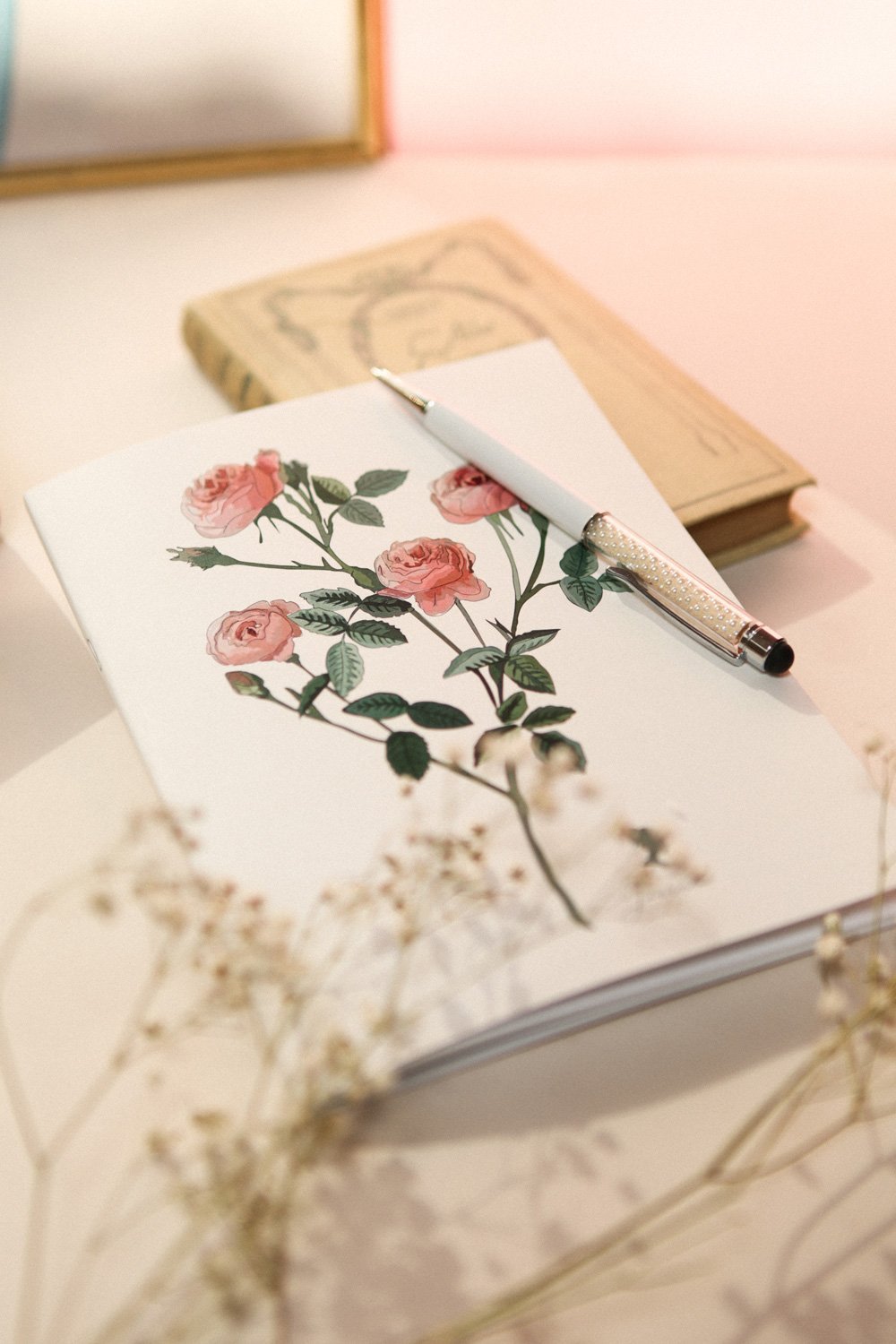 Journal Rosier 1861 Exclusive Notebook | La Petite Garçonne Chpt. 2 2