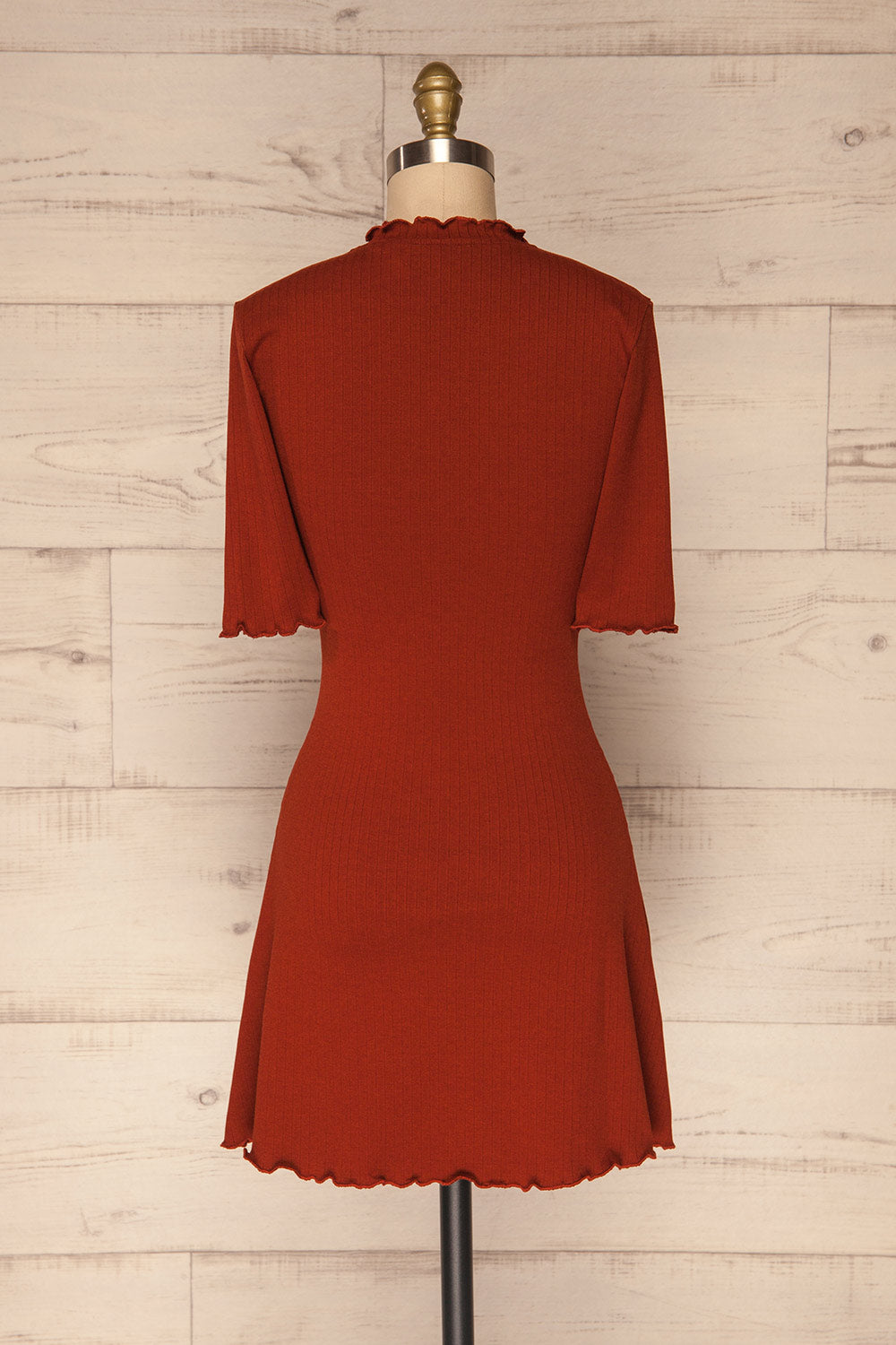 Jutrosin Rust Orange Fitted Cocktail Dress | La Petite Garçonne back view