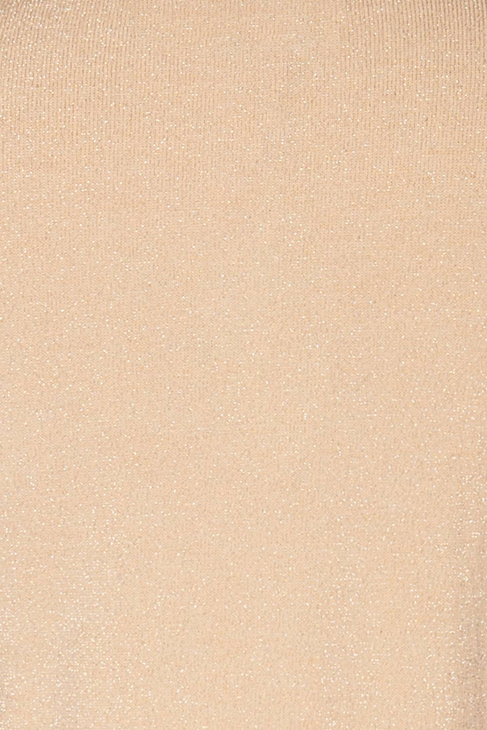 Lecco Beige Sparkling Turtleneck Top | La petite garçonne fabric
