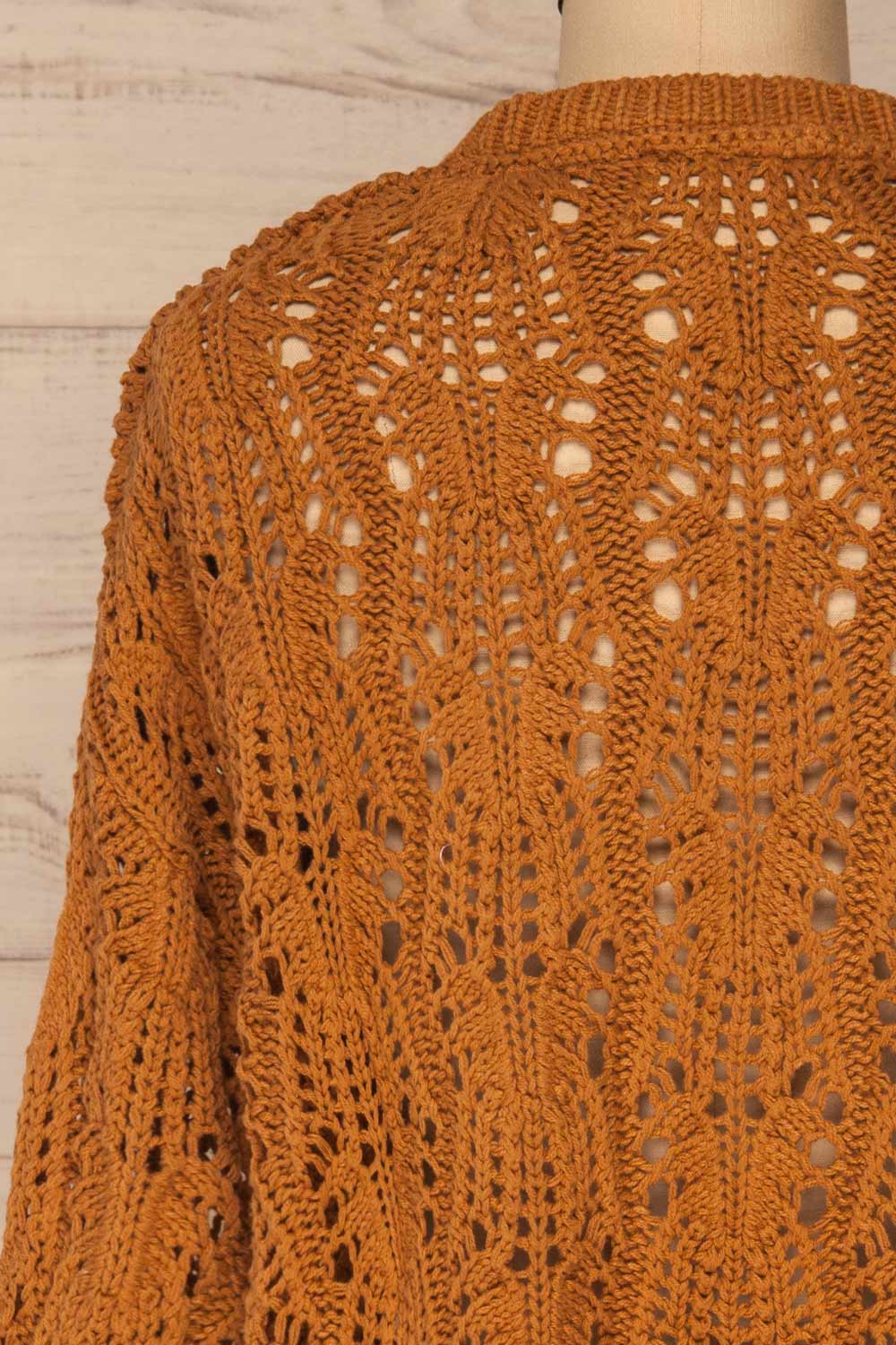 Lesko Brown Crochet Knit Top | La petite garçonne back close-up
