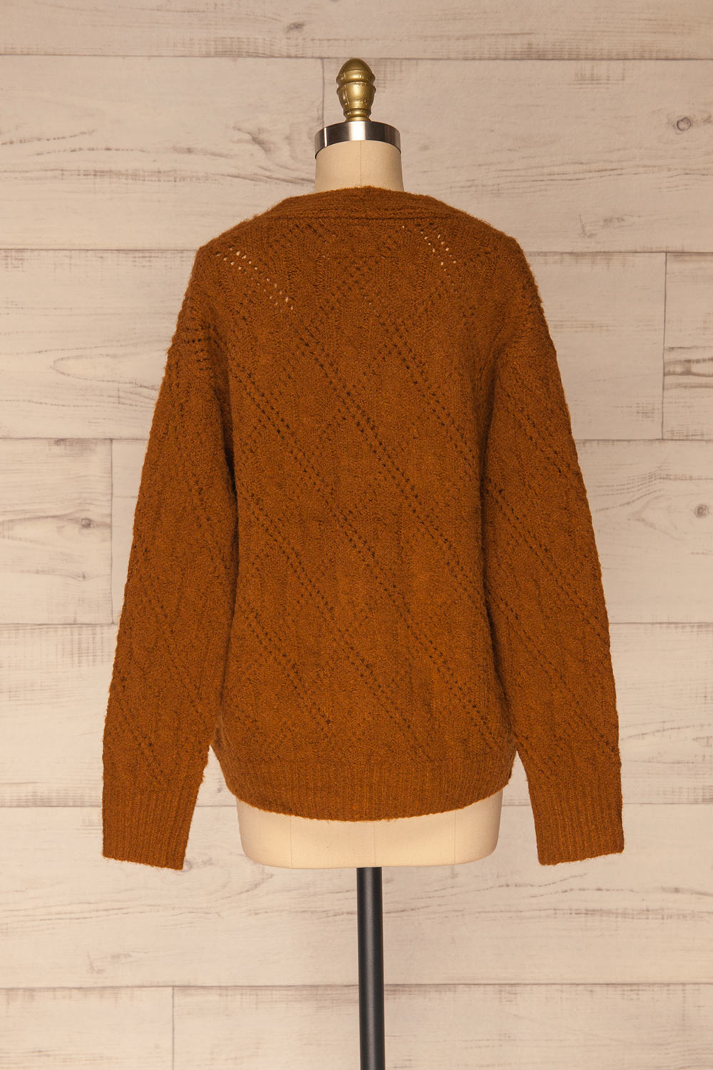 Lewin Brown Button-Up Cardigan | La petite garçonne back view