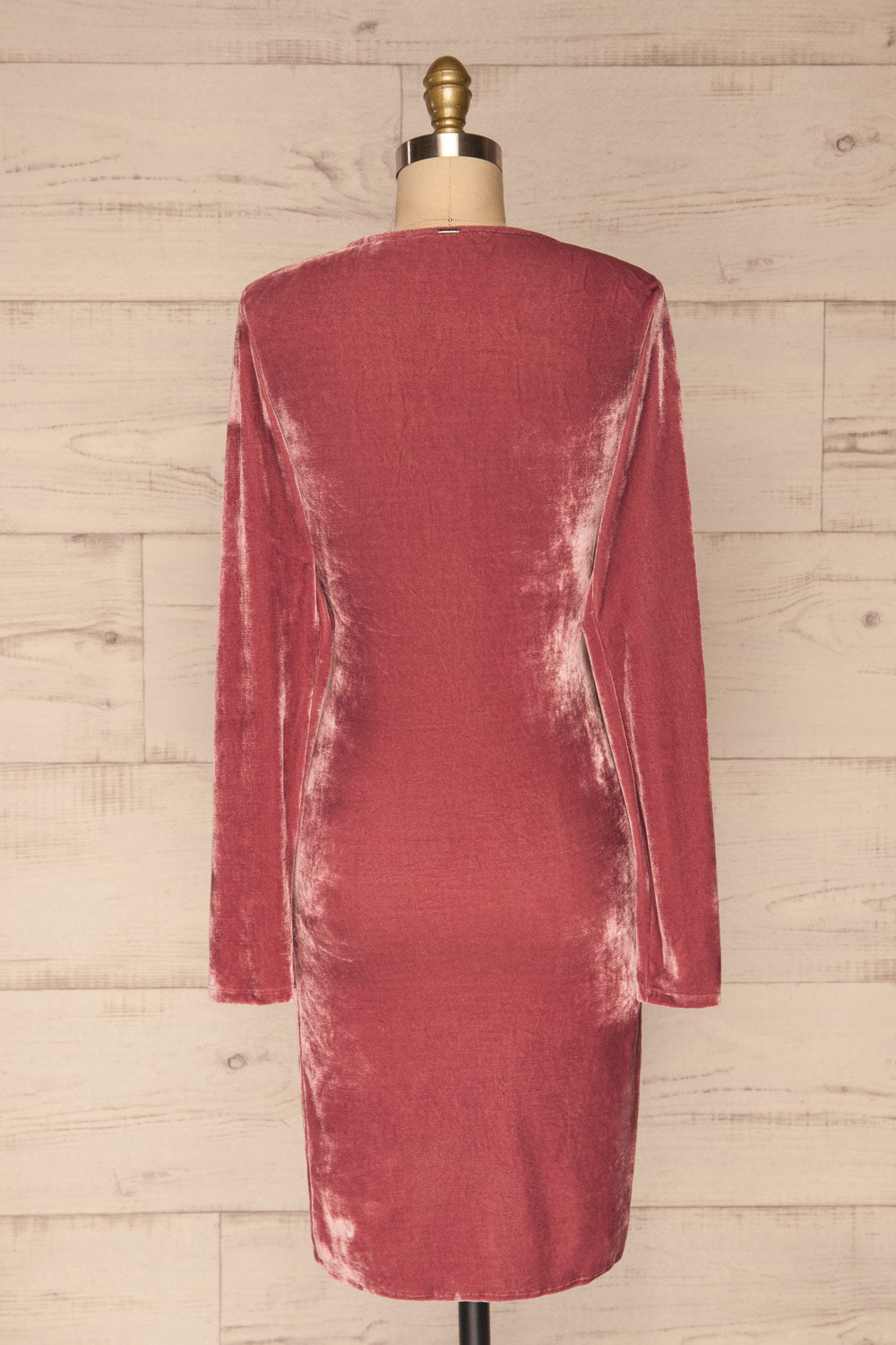 Olawa Pink Long Sleeve Velvet Dress | La petite garçonne back view