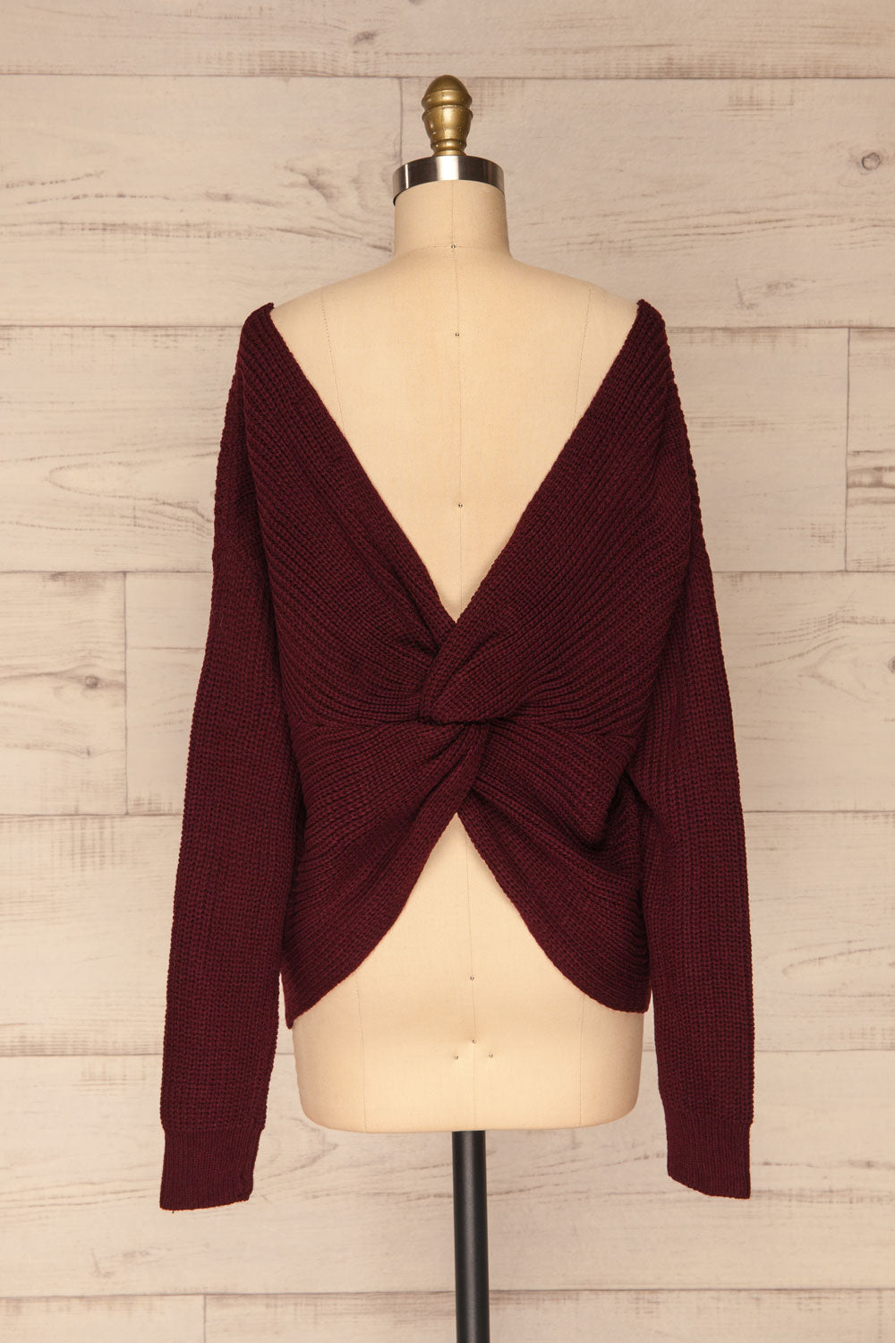 Patras Wine V-Neck Knitted Sweater | La petite garçonne back view
