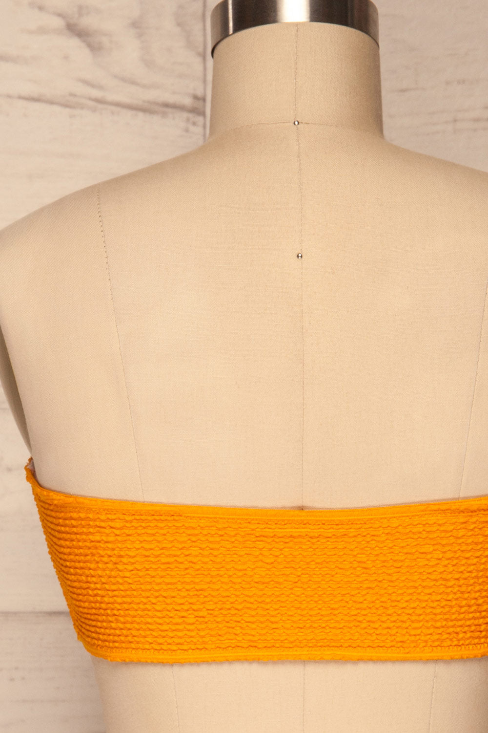 Selena Yellow Frills Tube Bikini Top | La petite garçonne back close up