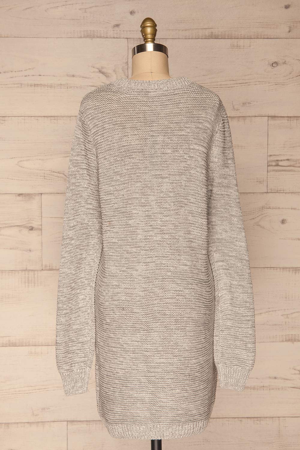 Sorinnes Sweater Dress | Robe Grise | La Petite Garçonne back view