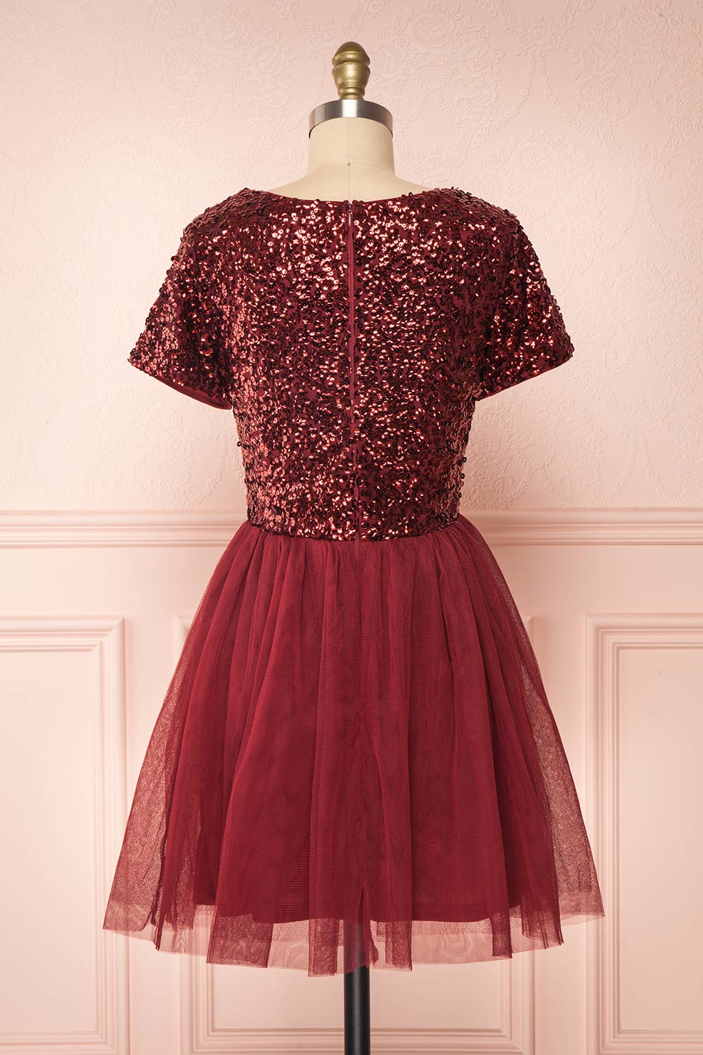 Sydalie Rouge Burgundy Sequin A-Line Party Dress back view | Boutique 1861