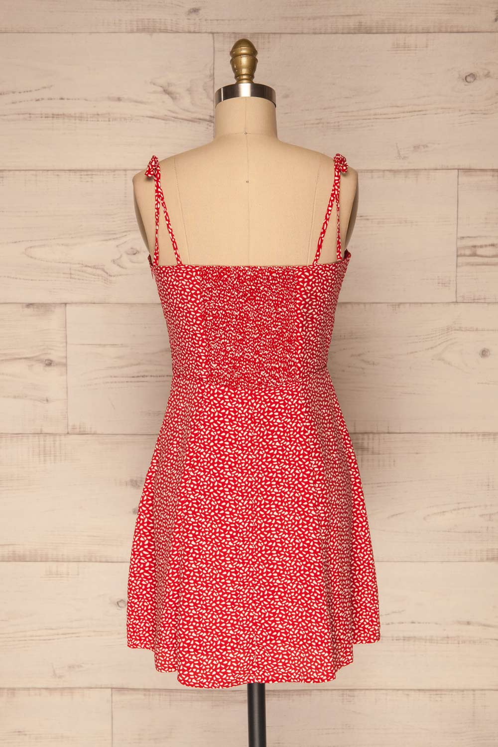 Wanda Red & White Short A-Line Dress | La petite garçonne back view