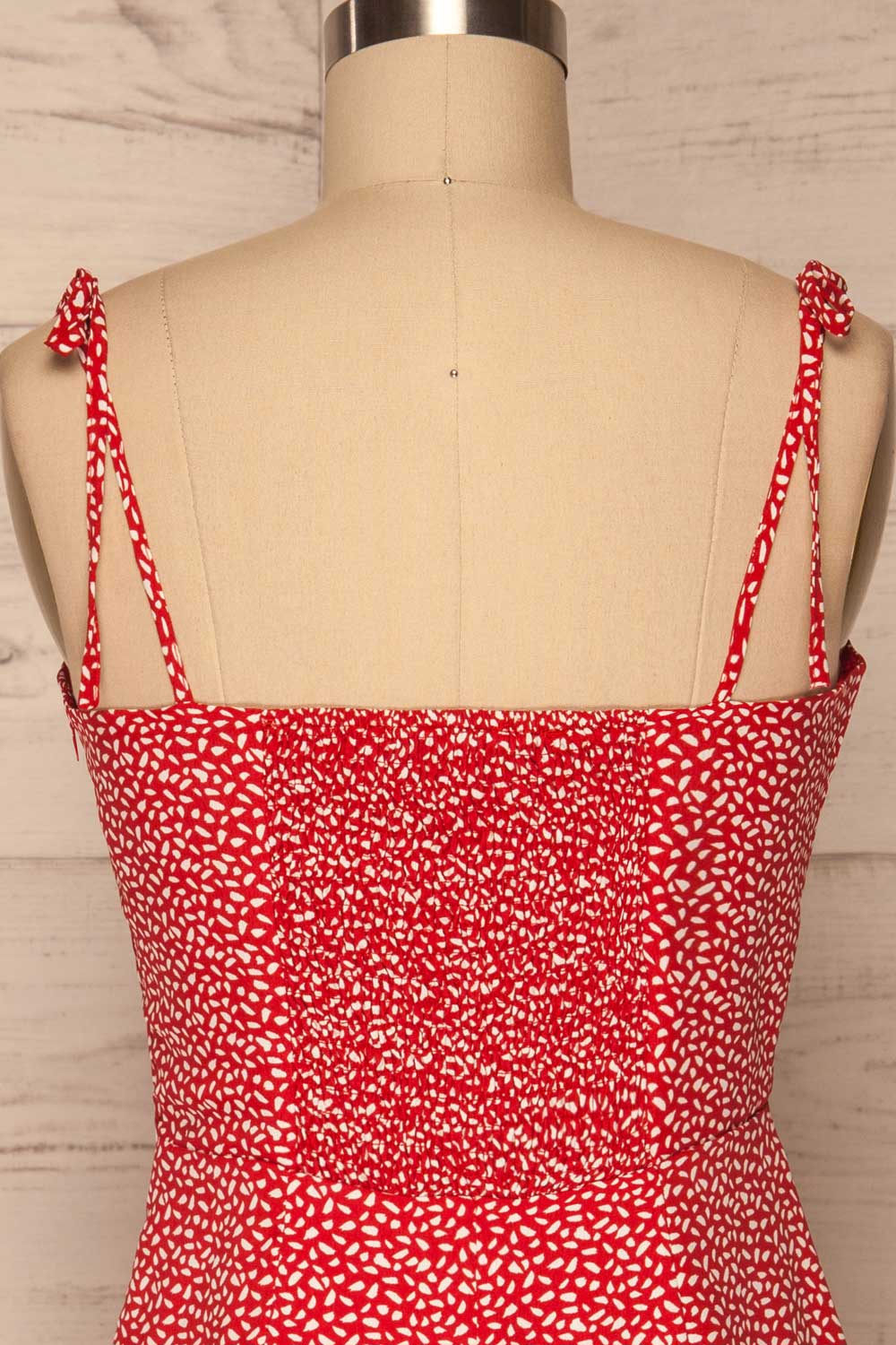 Wanda Red & White Short A-Line Dress | La petite garçonne back close up