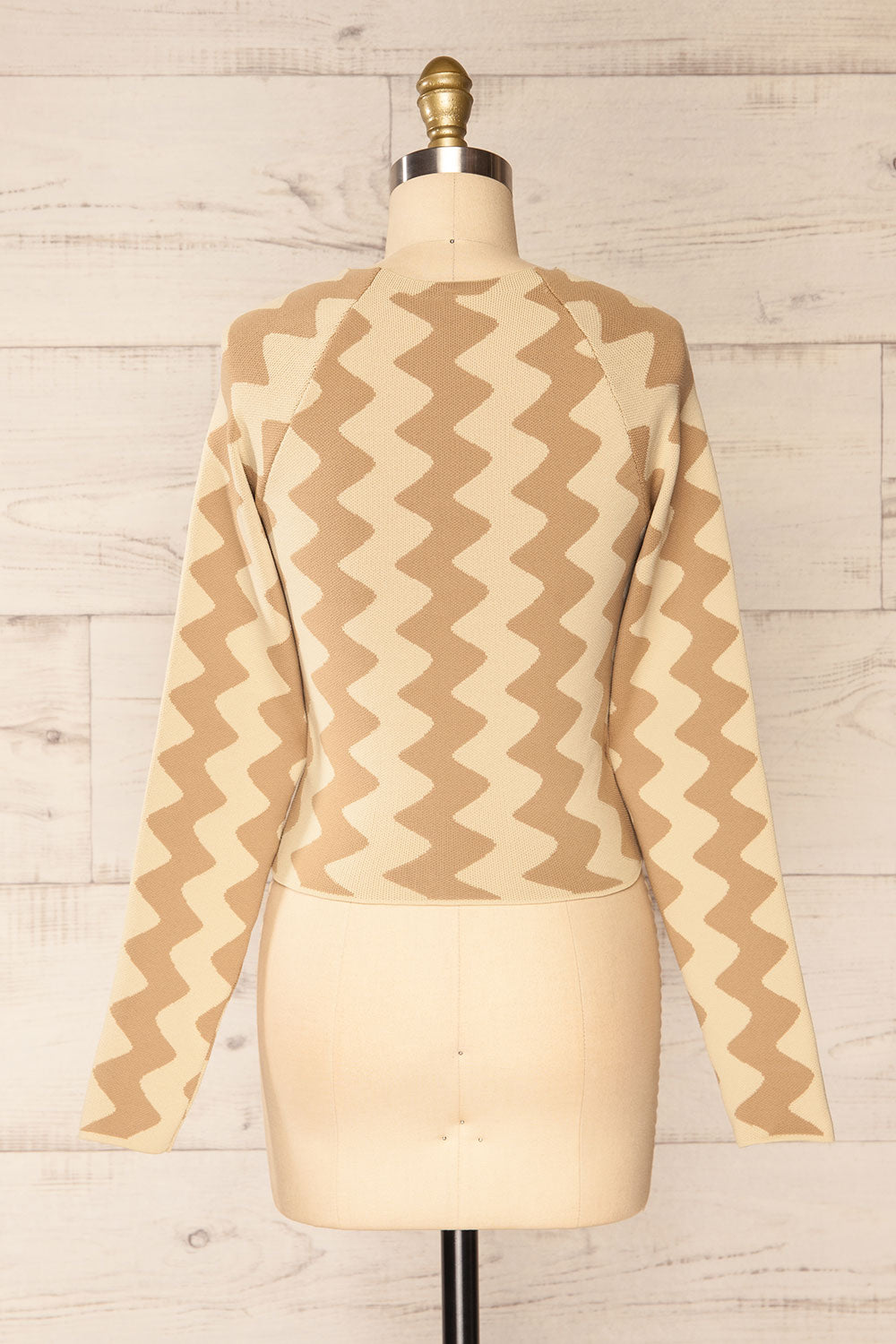 Armenokhori Cropped Zig Zag Patterned Cropped Top | La petite garçonne back view