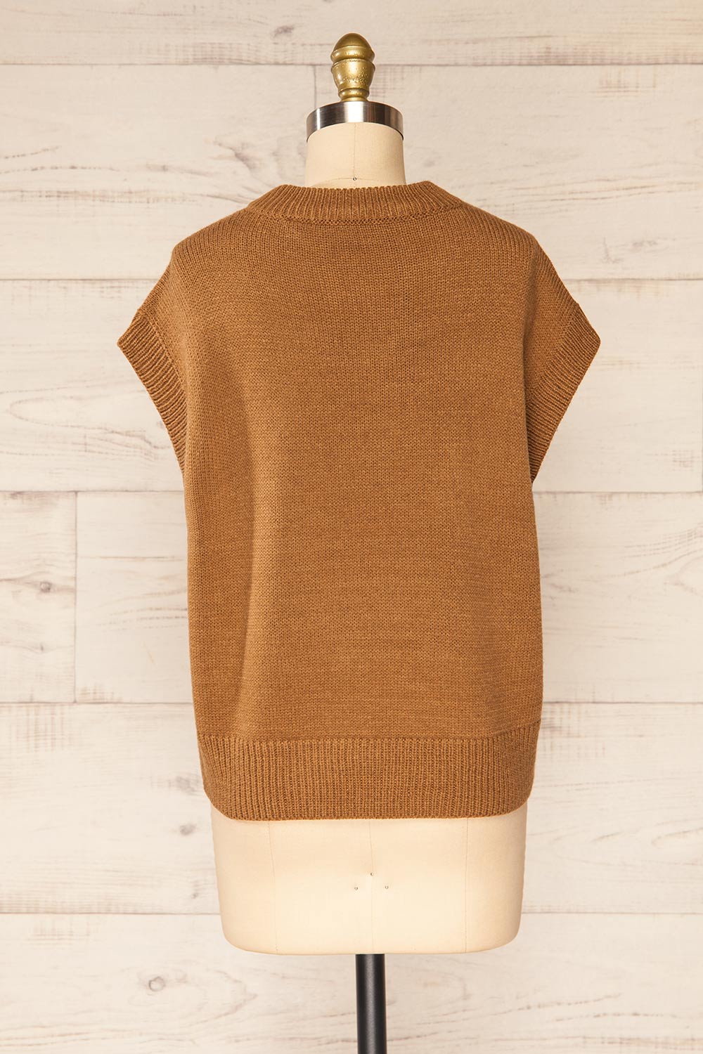 Baek Camel Sleeveless Knit Vest | La petite garçonne back view