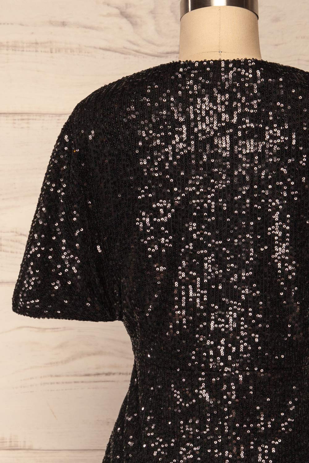 Biccari Black Short Sequin Dress back close up | La Petite Garçonne