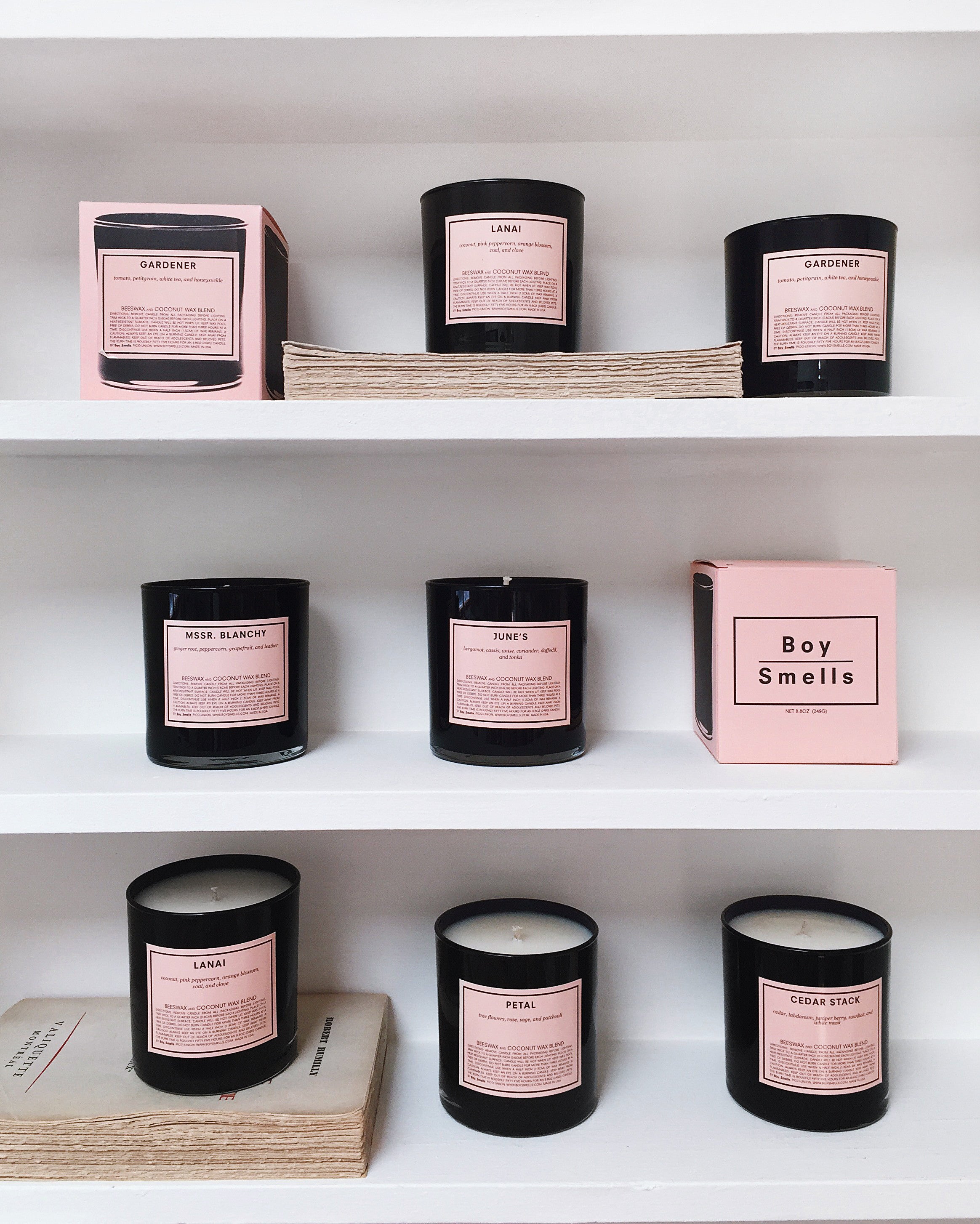 Chandelle Gardener Perfumed Candle with other fragrances | La Petite Garçonne Chpt. 2 5