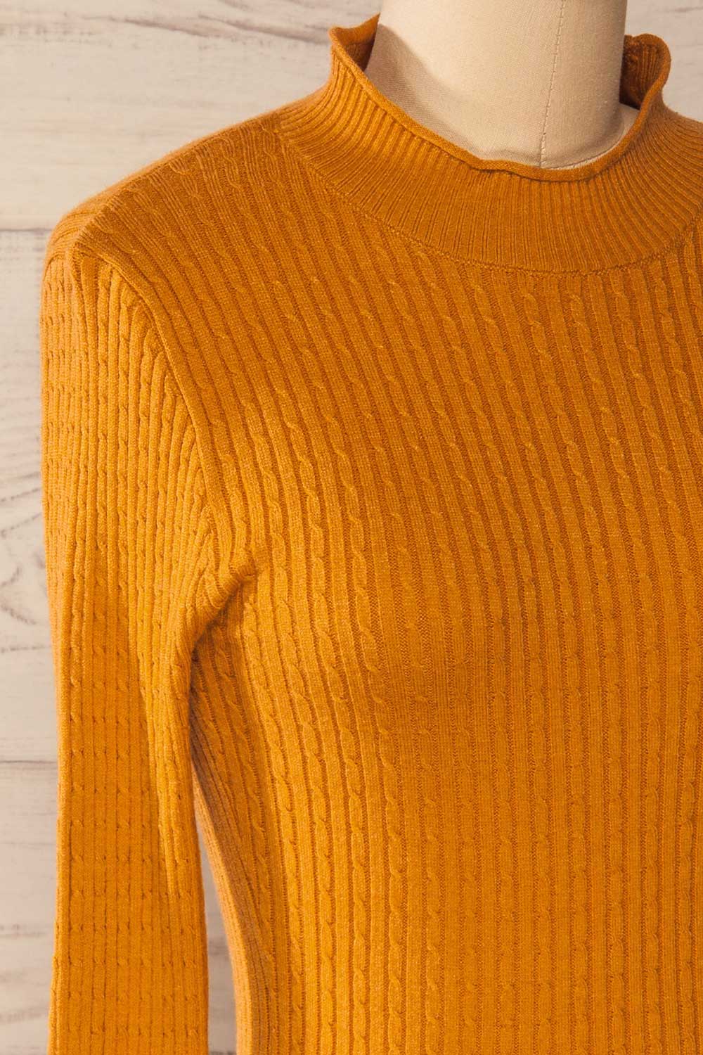 Braga Yellow Ribbed Fitted Mock Neck Top | La petite garçonne side close-up
