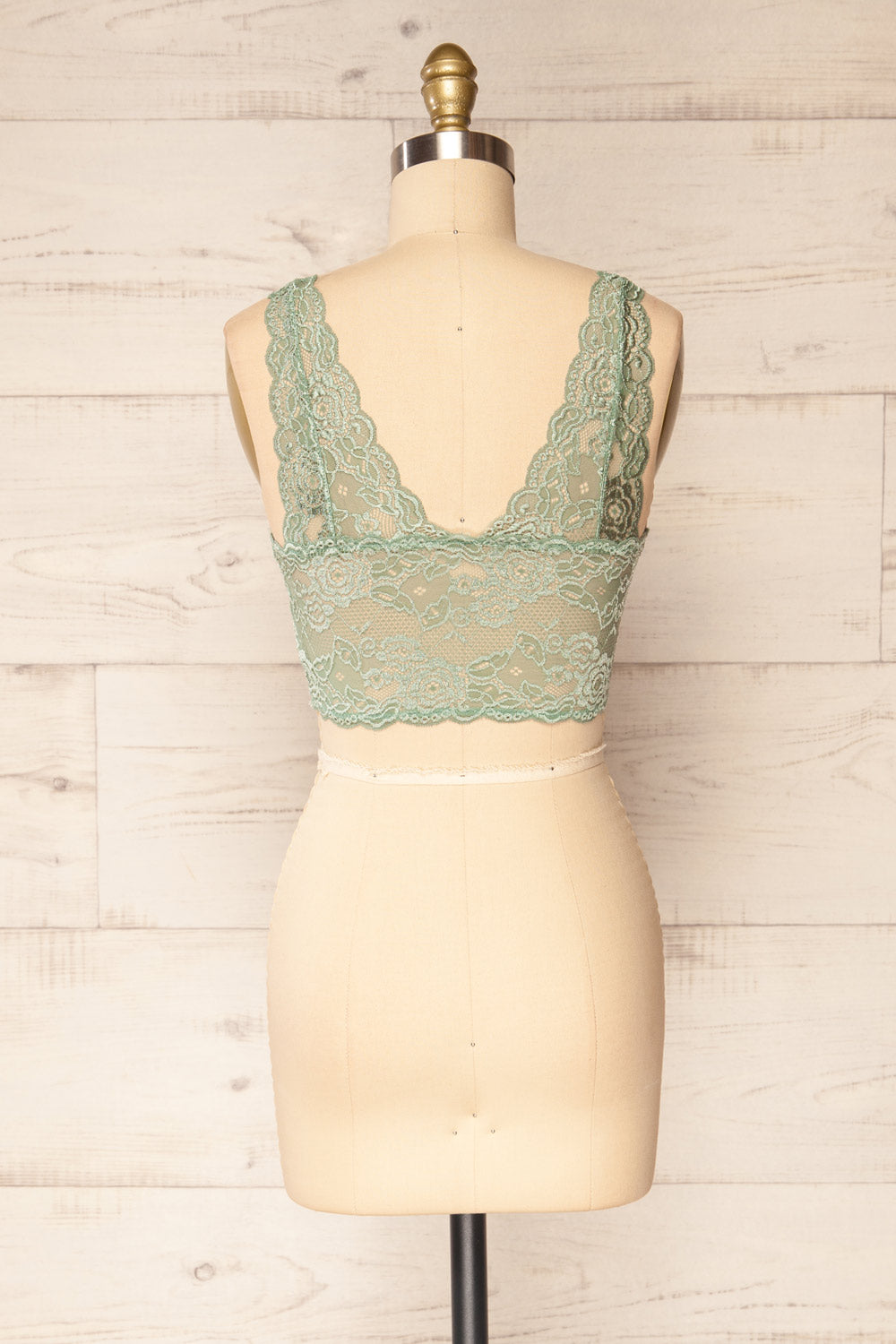 Braize Sage Lace Bralette | La petite garçonne back view