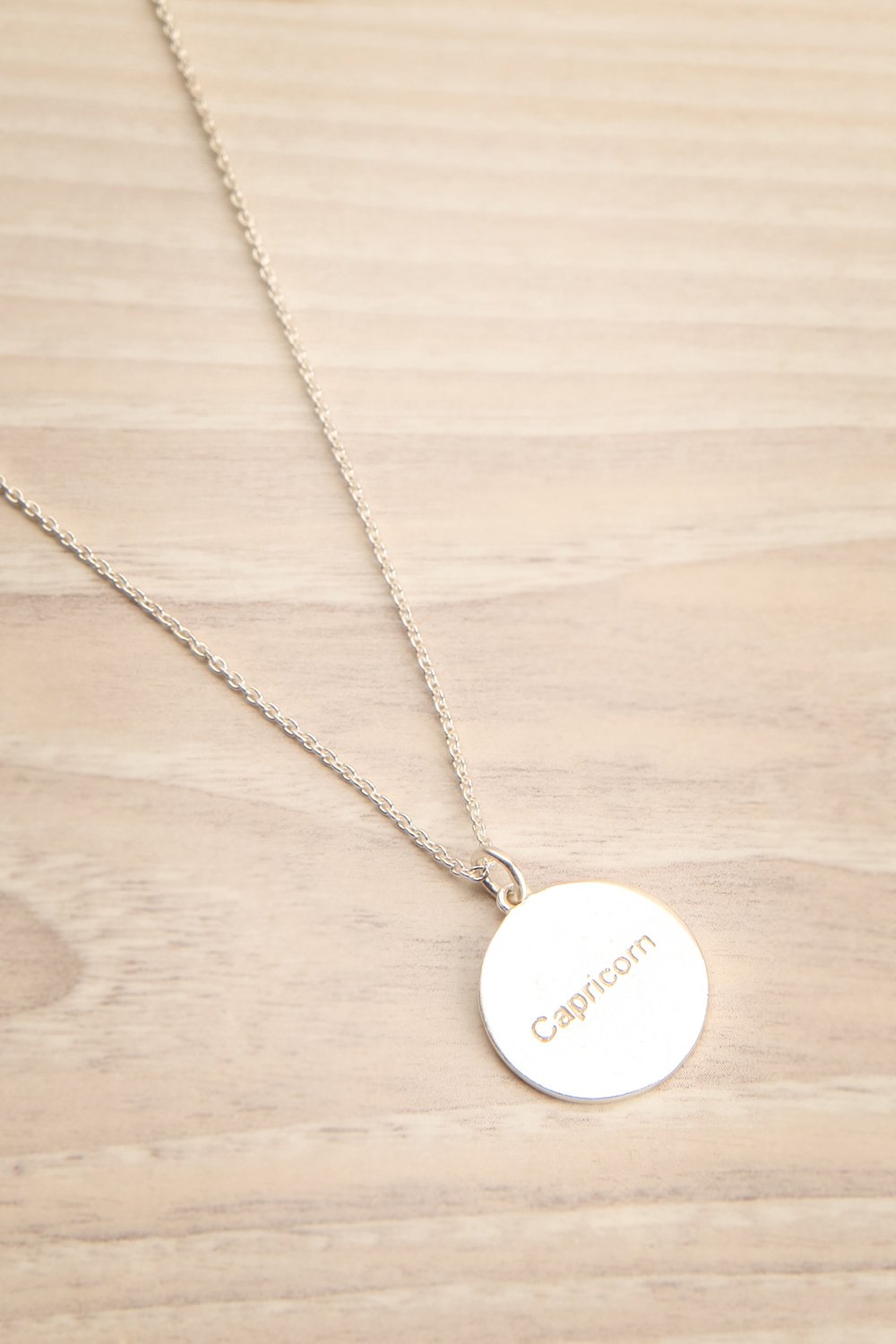 Capricorne Argenté Pendant Necklace | La Petite Garçonne Chpt. 2 3