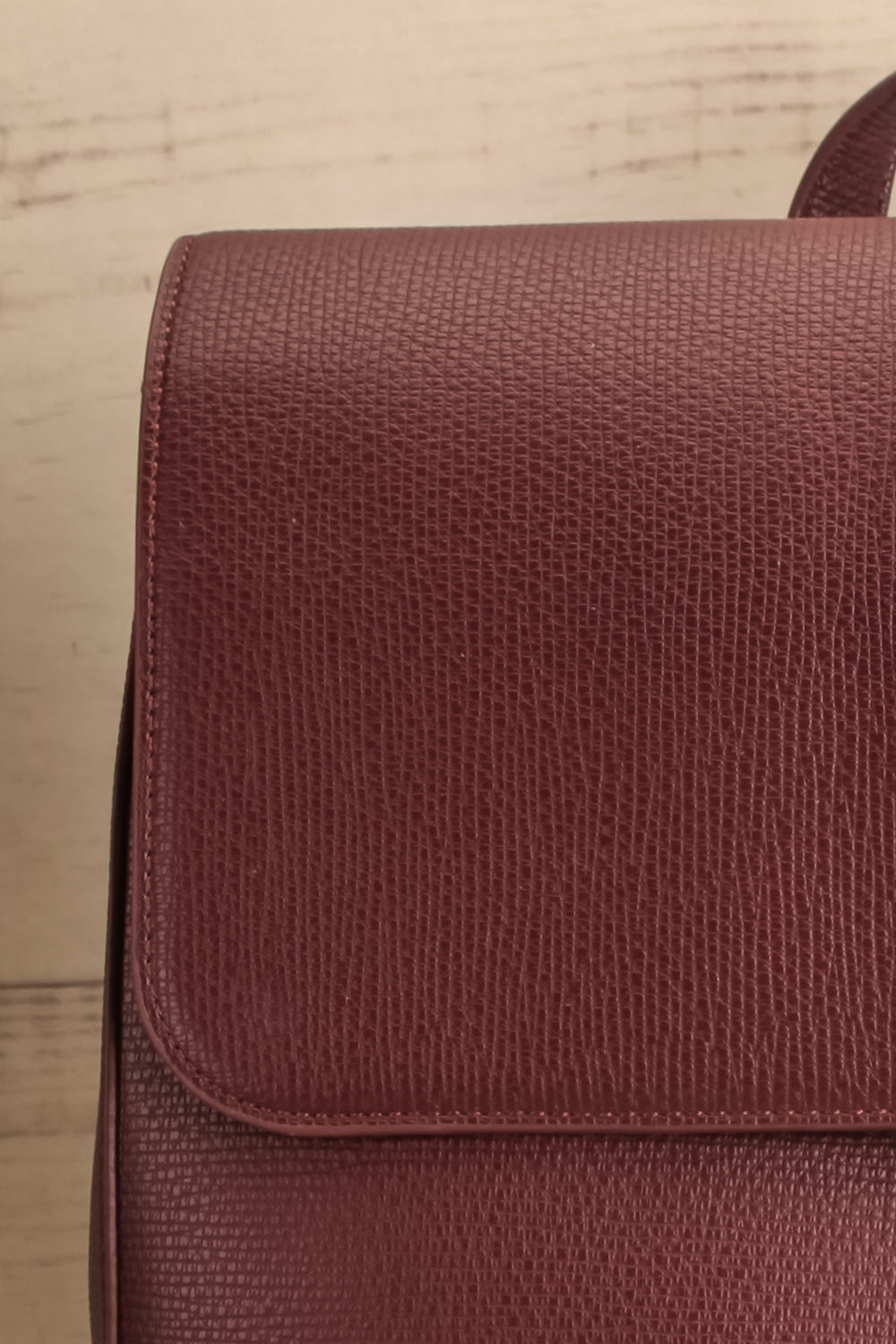 Centaurus Vegan Leather Backpack | La petite garçonne front close-up