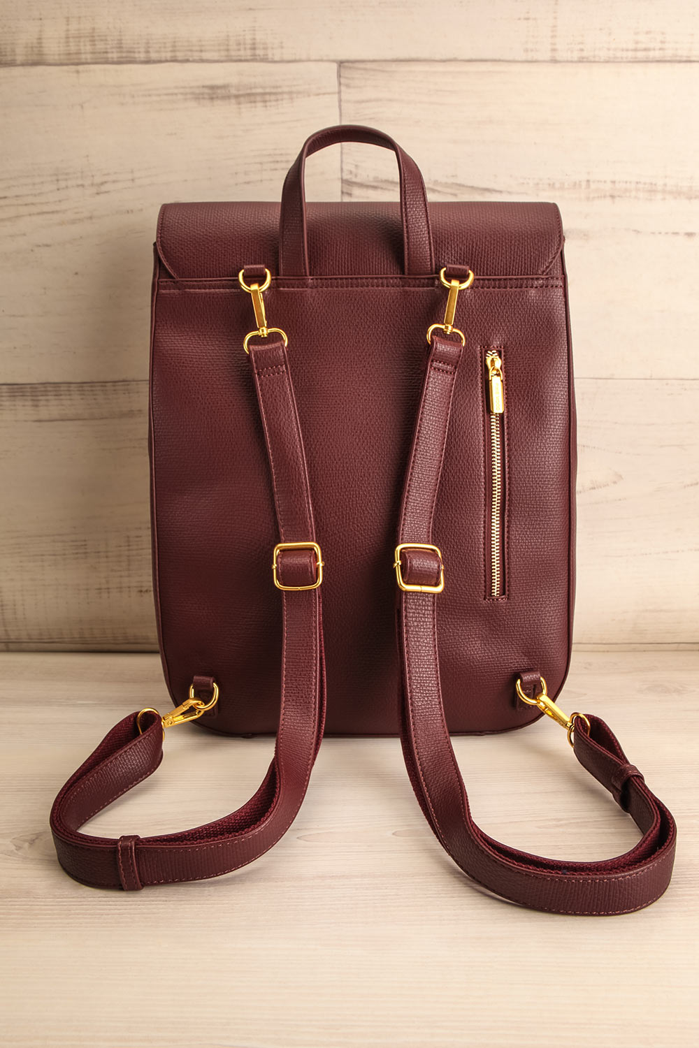 Centaurus Vegan Leather Backpack | La petite garçonne back view