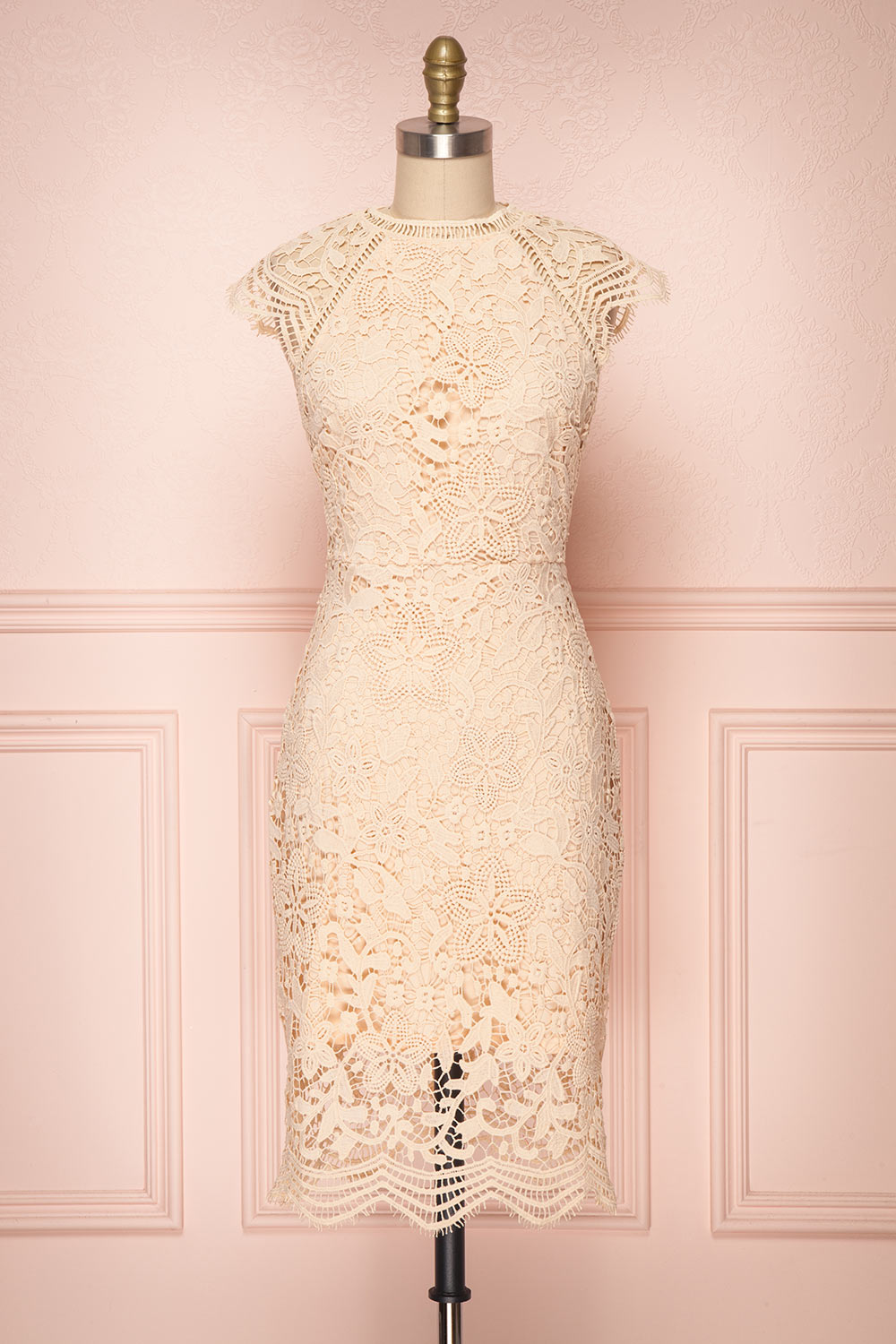 Colihaut Blush Lace Fitted Cocktail Dress | Boutique 1861