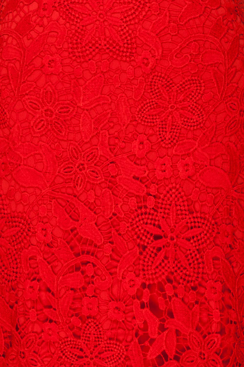 Colihaut Red Lace Fitted Cocktail Dress | Boutique 1861