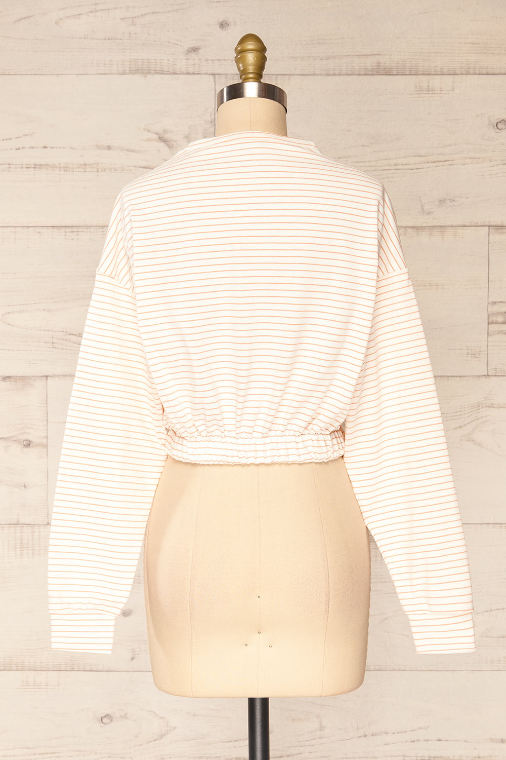 Cruise Crewneck Striped Cropped Top | La petite garçonne back view