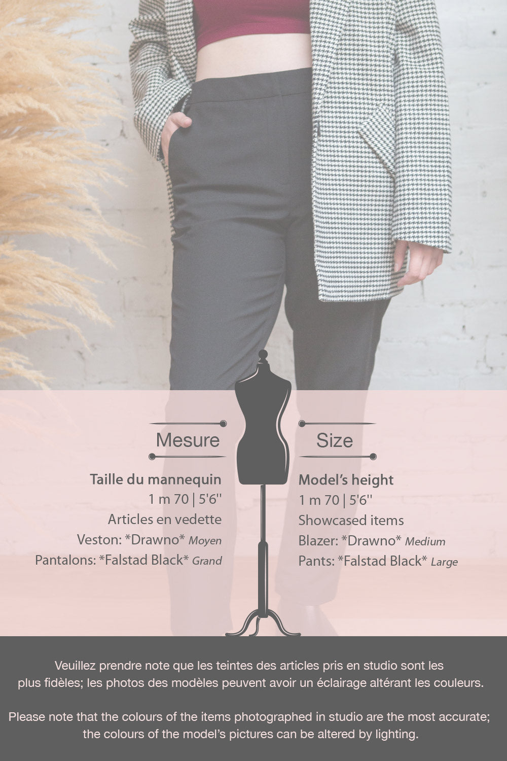 Falstad Rust Fitted Pants | La petite garçonne fiche