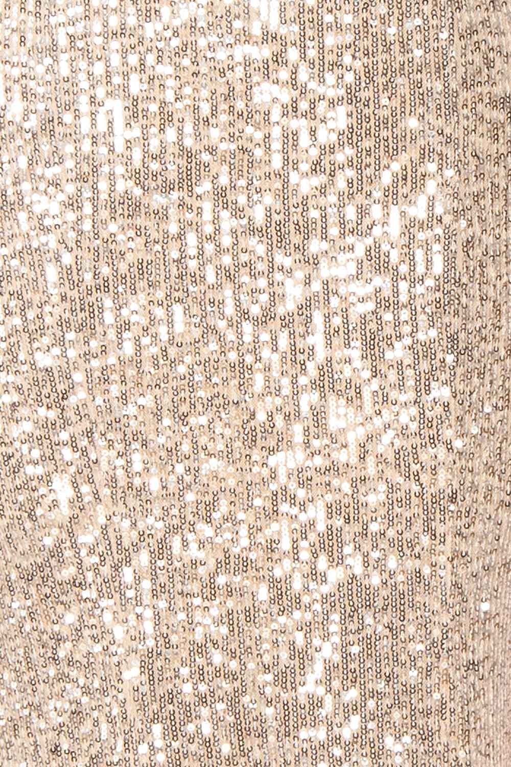 Felisa Silver Pleated Sequins Maxi Dress | Boutique 1861 fabric