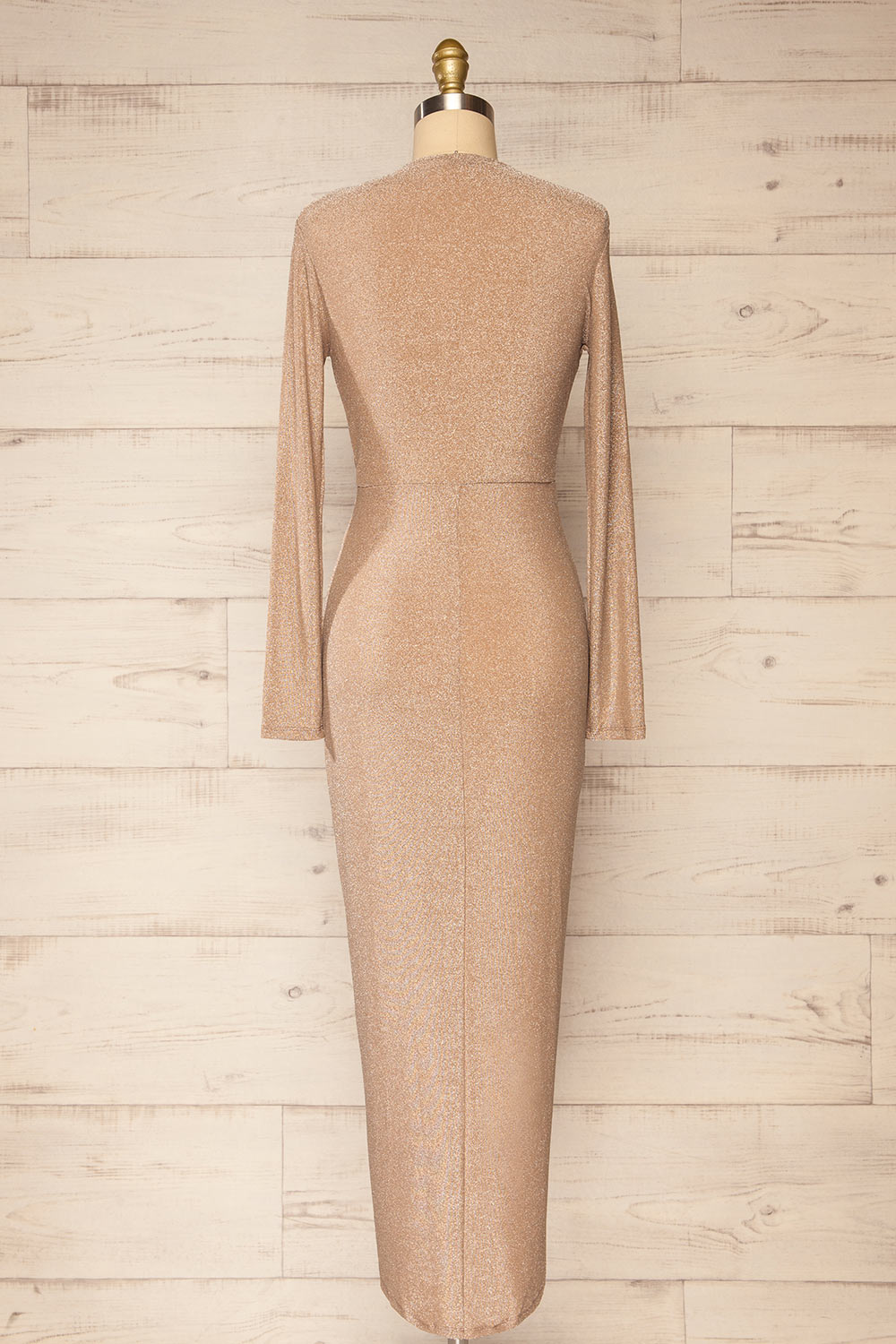 Feklora Sparkly Midi Dress w/ Long Sleeves | La petite garçonne back view