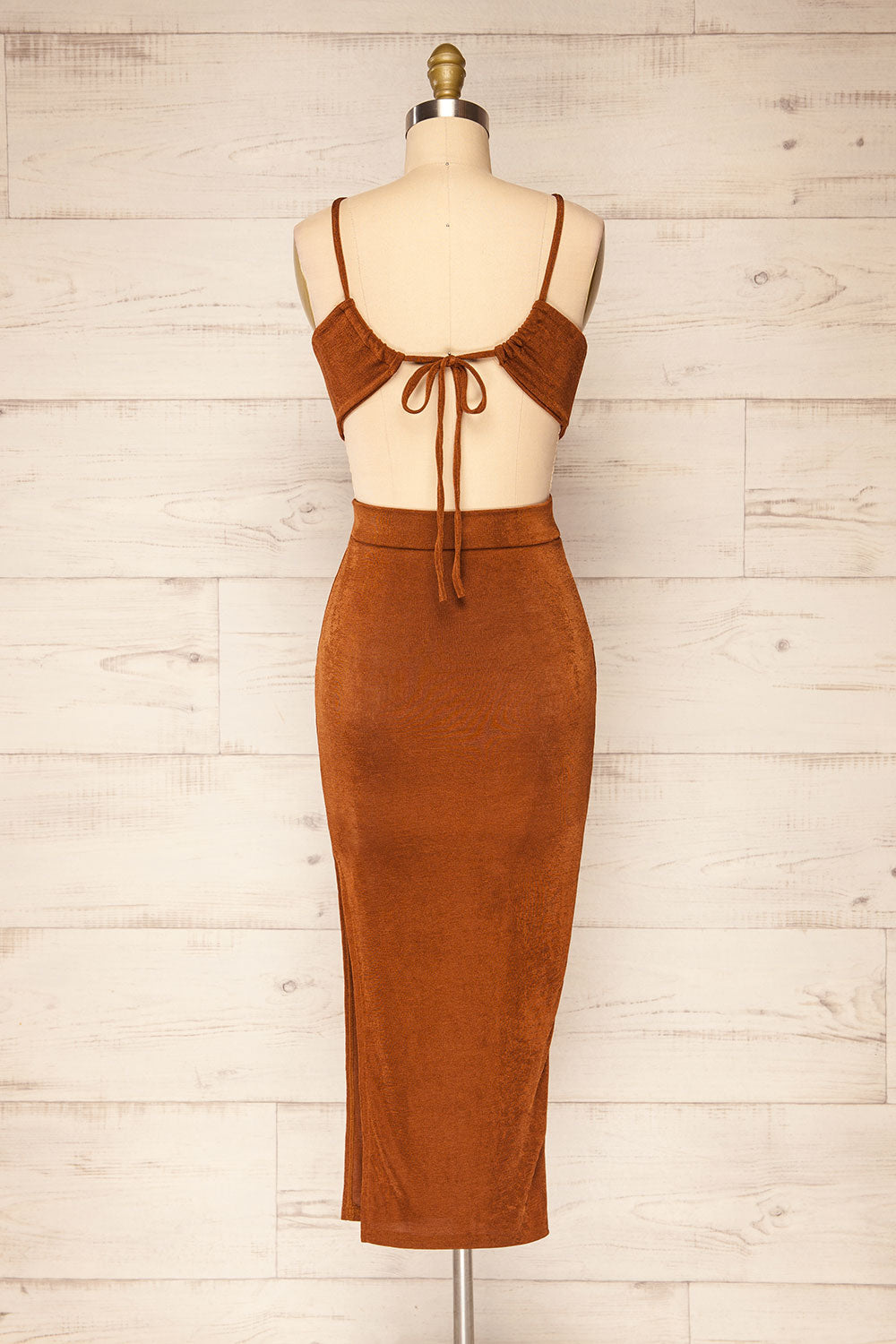 Frombork Backless Shimmery Fitted Dress | La petite garonne