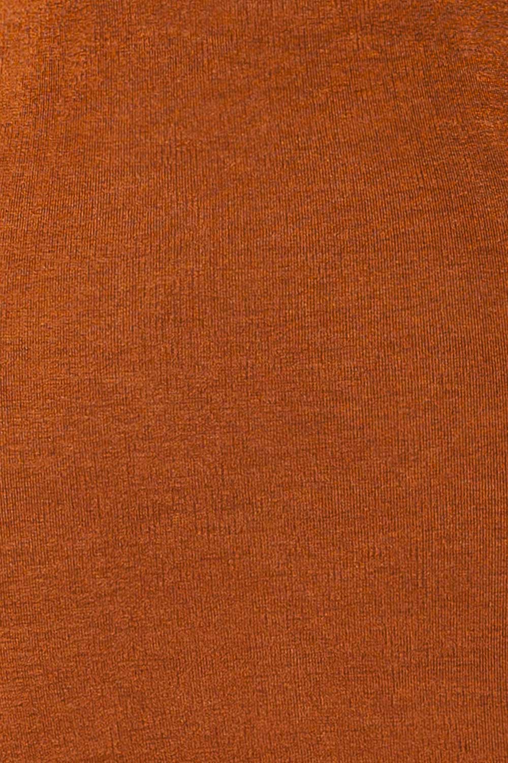 Frombork Backless Shimmery Fitted Dress | La petite garçonne fabric