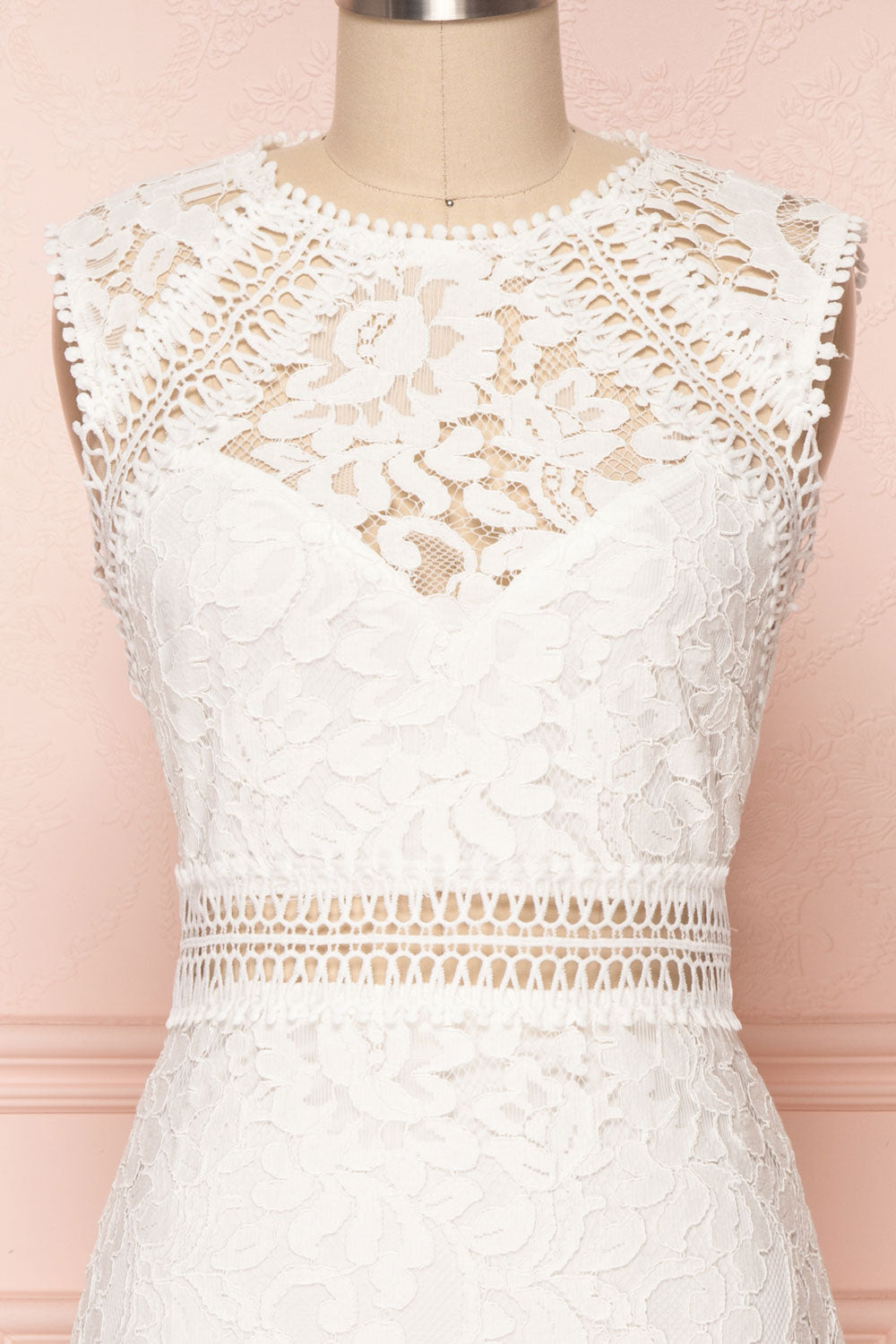 Gabryelli Blanc | Fitted Lace Dress