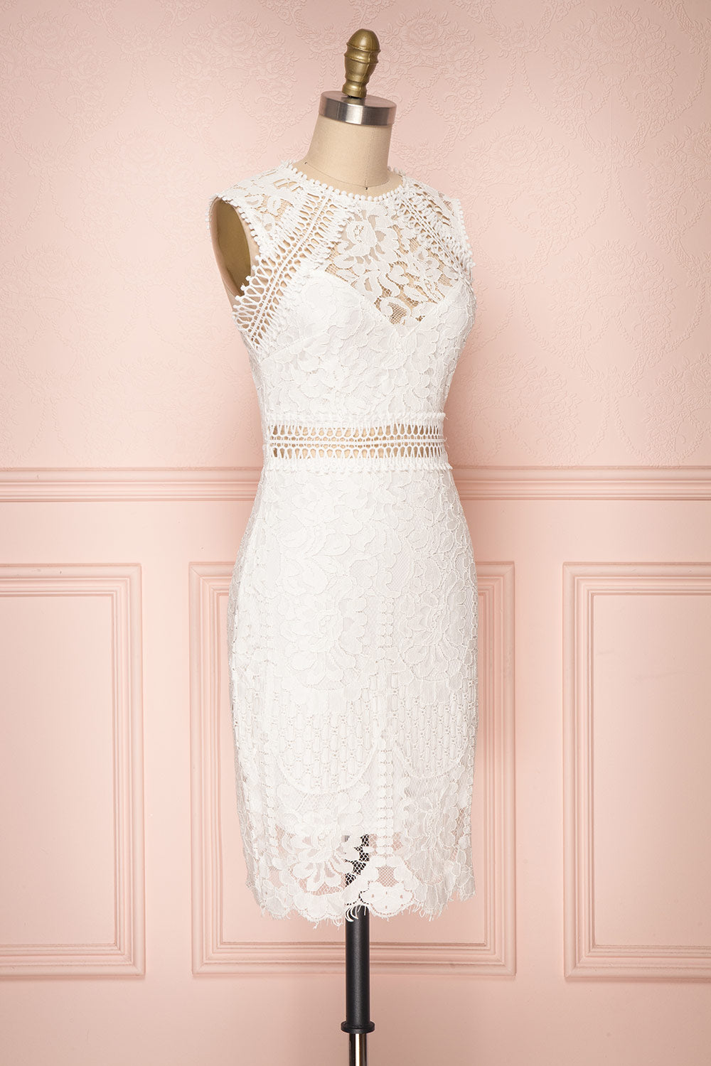 Gabryelli Blanc | Fitted Lace Dress