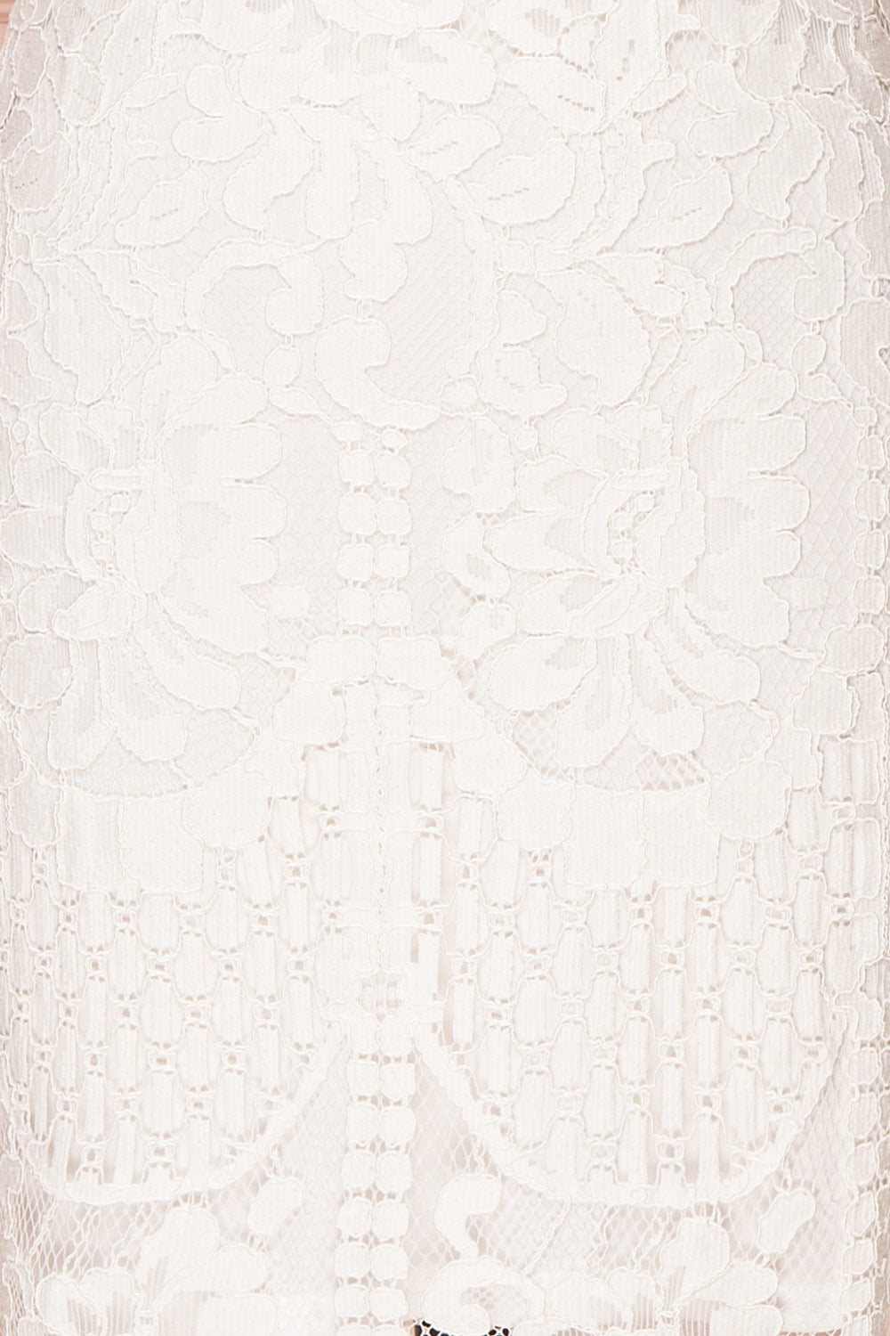Gabryelli Blanc | Fitted Lace Dress