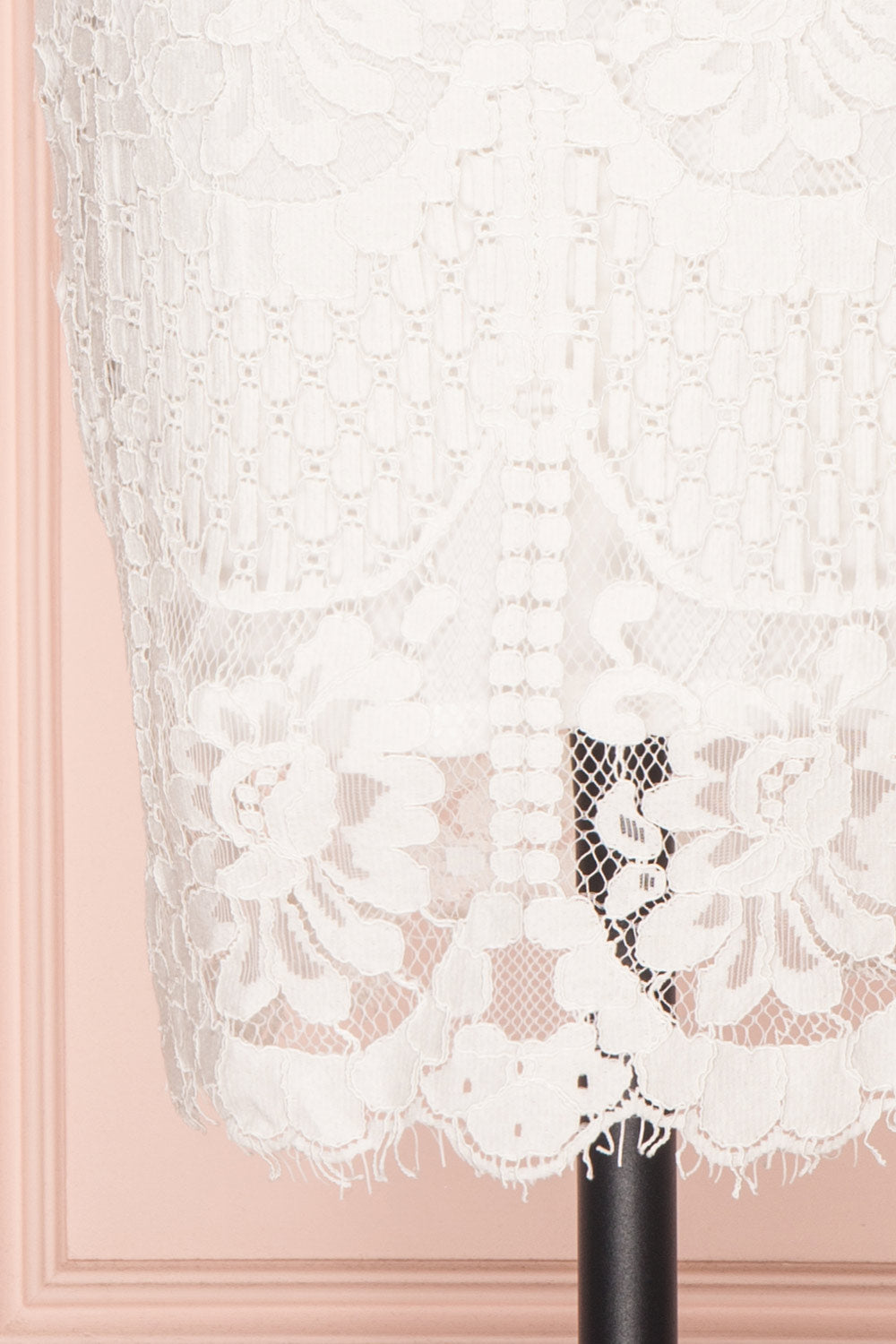Gabryelli Blanc | Fitted Lace Dress