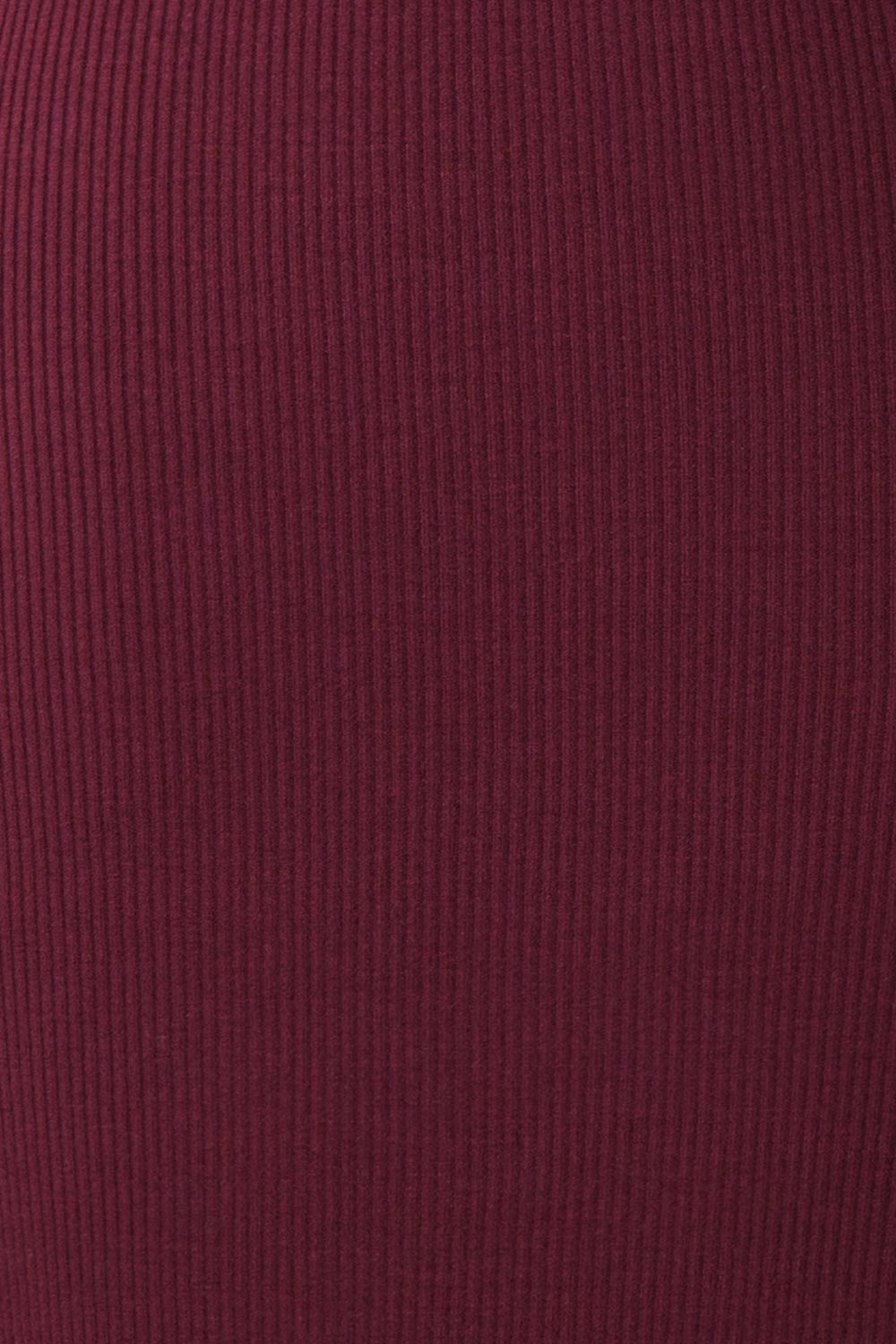 Janick Burgundy Ribbed Turtleneck Fitted Dress | Boutique 1861 fabric