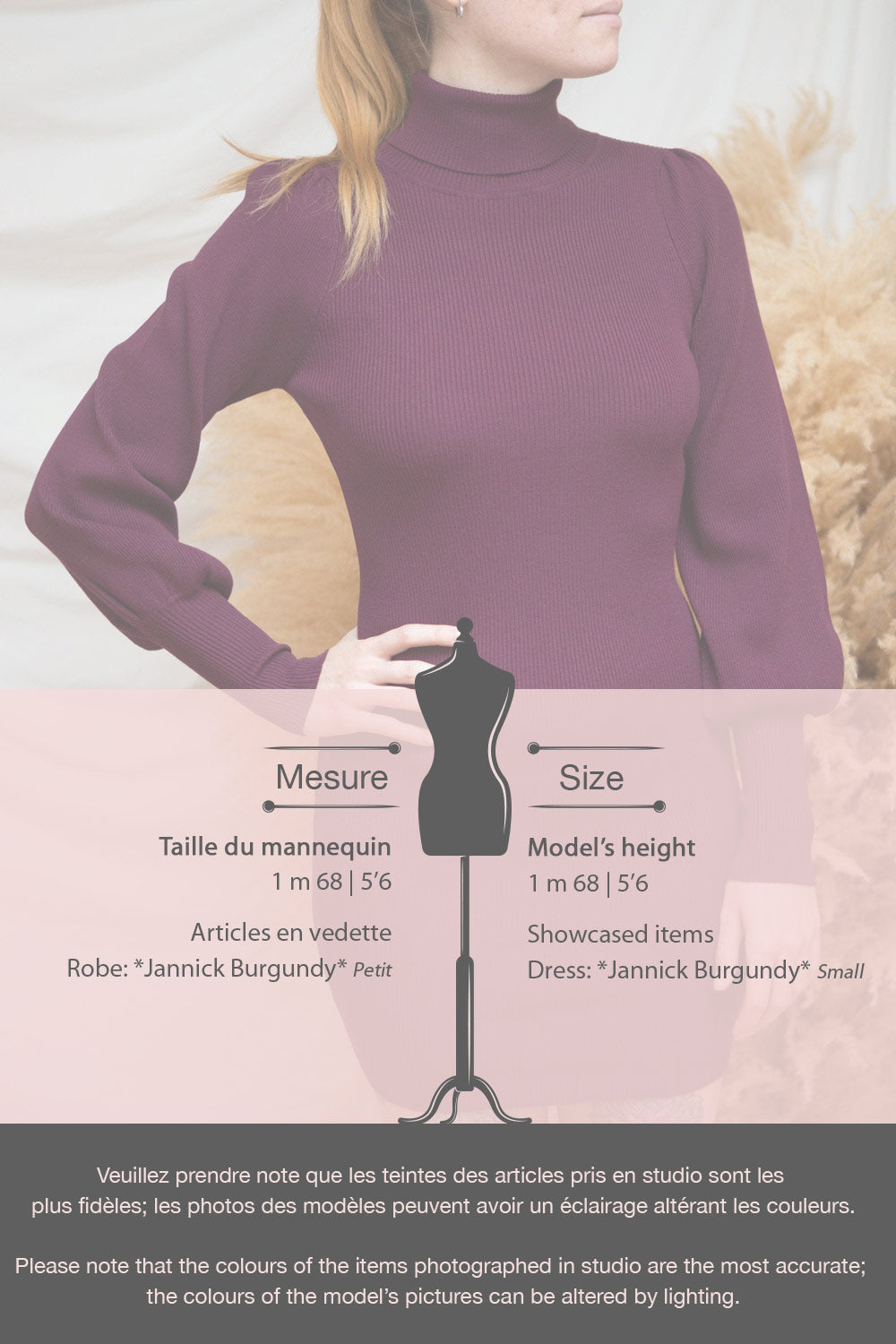 Janick Burgundy Ribbed Turtleneck Fitted Dress | Boutique 1861 fiche