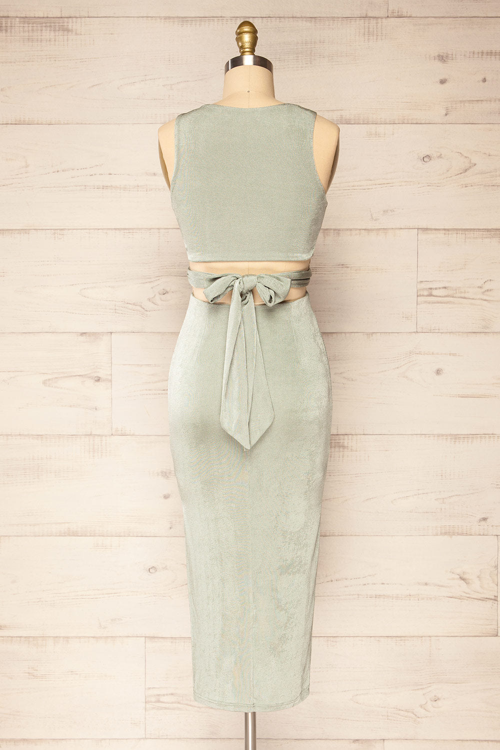 Jhoye Sage Shimmery Midi Dress w/ Removable Top | La petite garçonne back view