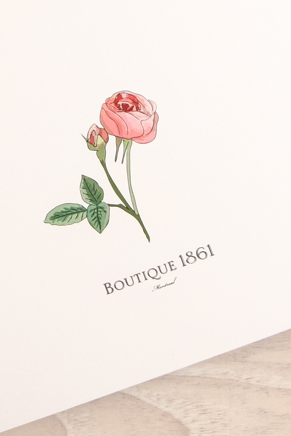 Journal Rosier 1861 Exclusive Notebook | La Petite Garçonne Chpt. 2 6