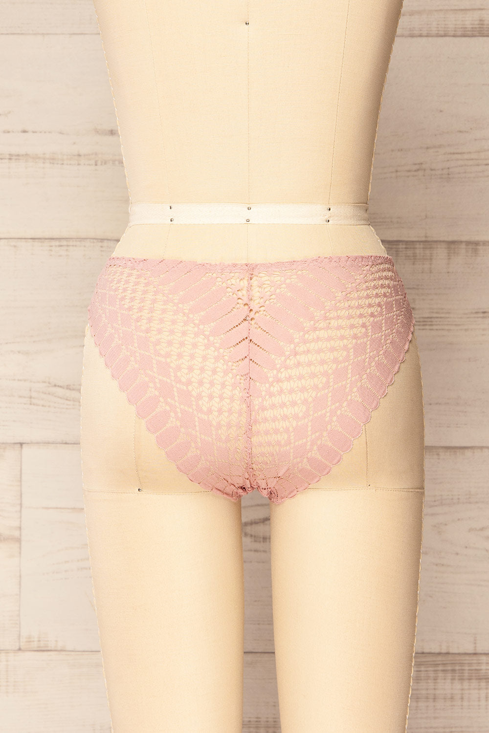 Larvik Blush Lace Underwear | La petite garçonne back view