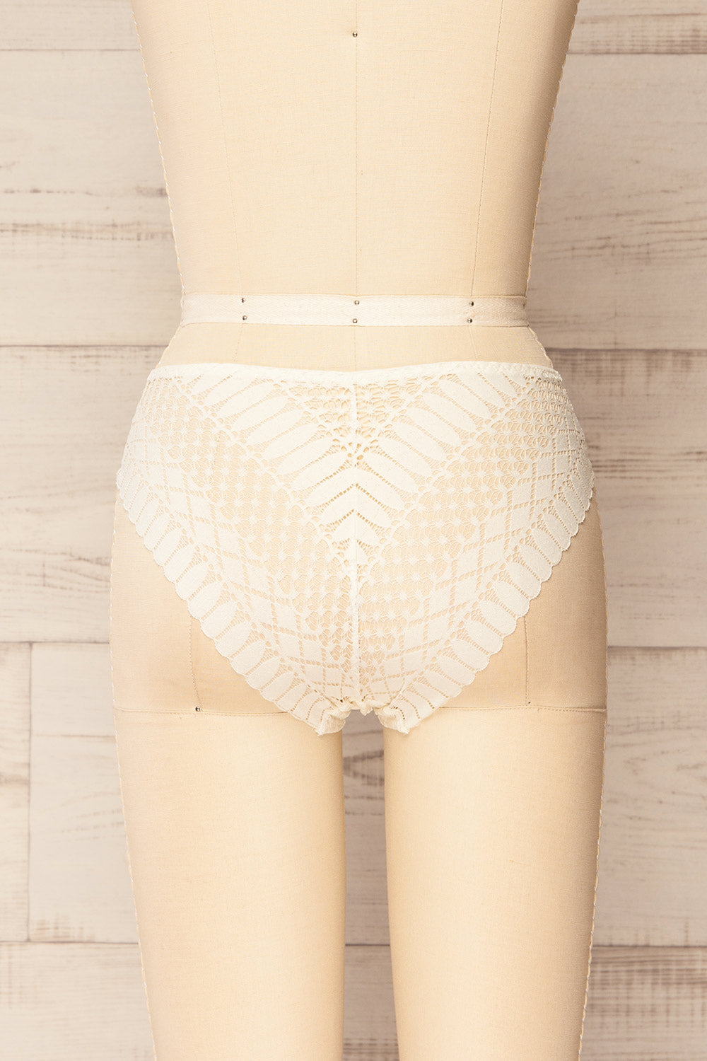 Larvik Ivory Lace Bikini Underwear | La petite garçonne back view
