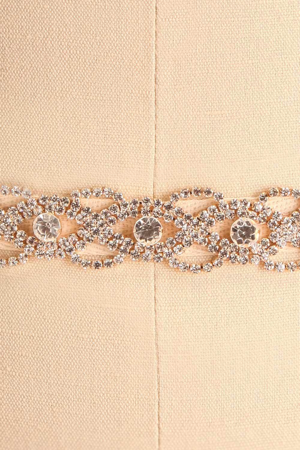 Leslie Gold Crystal Belt | Boudoir 1861 close-up
