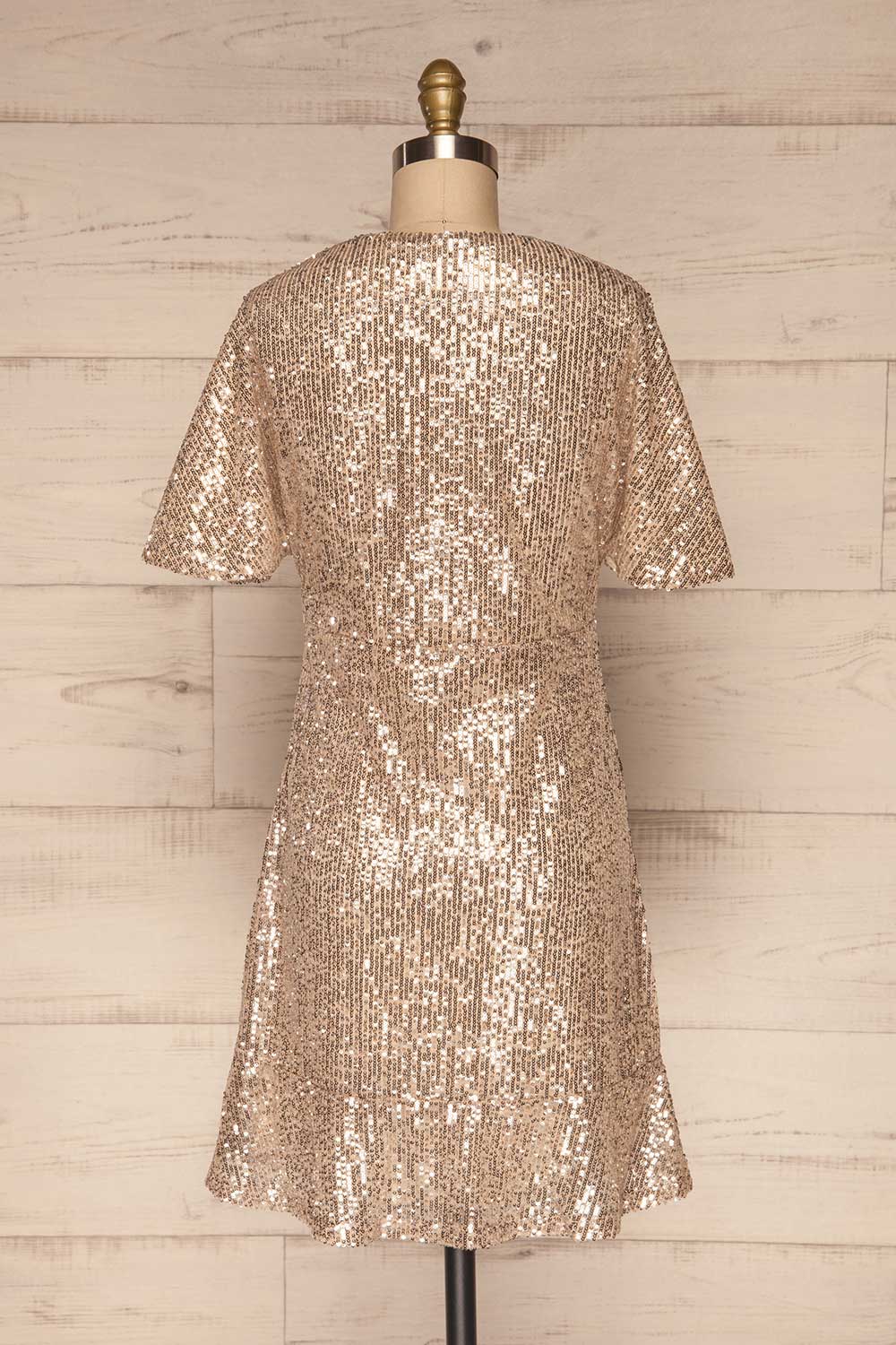 Lubana Silver Sequin V-Neck Shift Dress back view | La Petite Garçonne