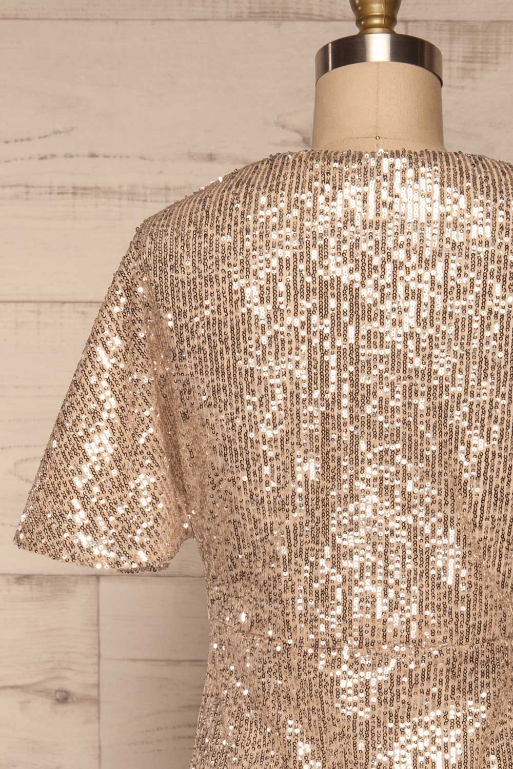 Lubana Silver Sequin V-Neck Shift Dress back close-up | La Petite Garçonne